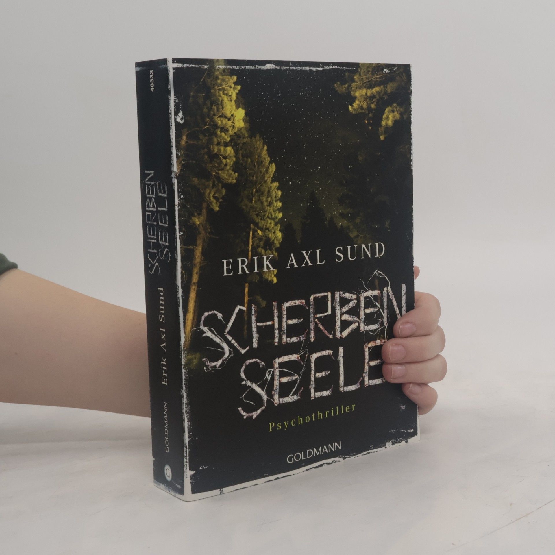 Erik Axl Sund Scherbenseele