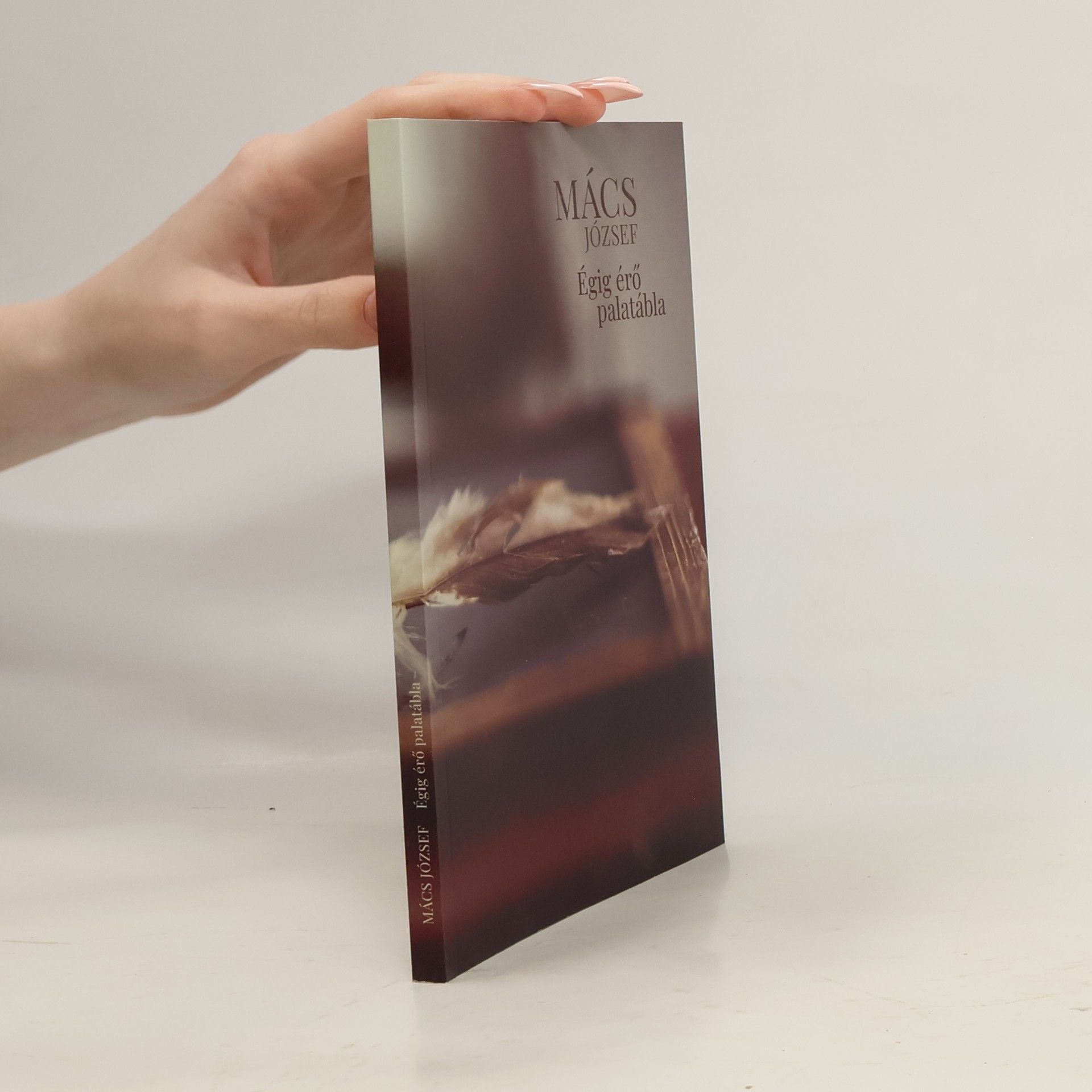 József Mács Égig érő palatábla