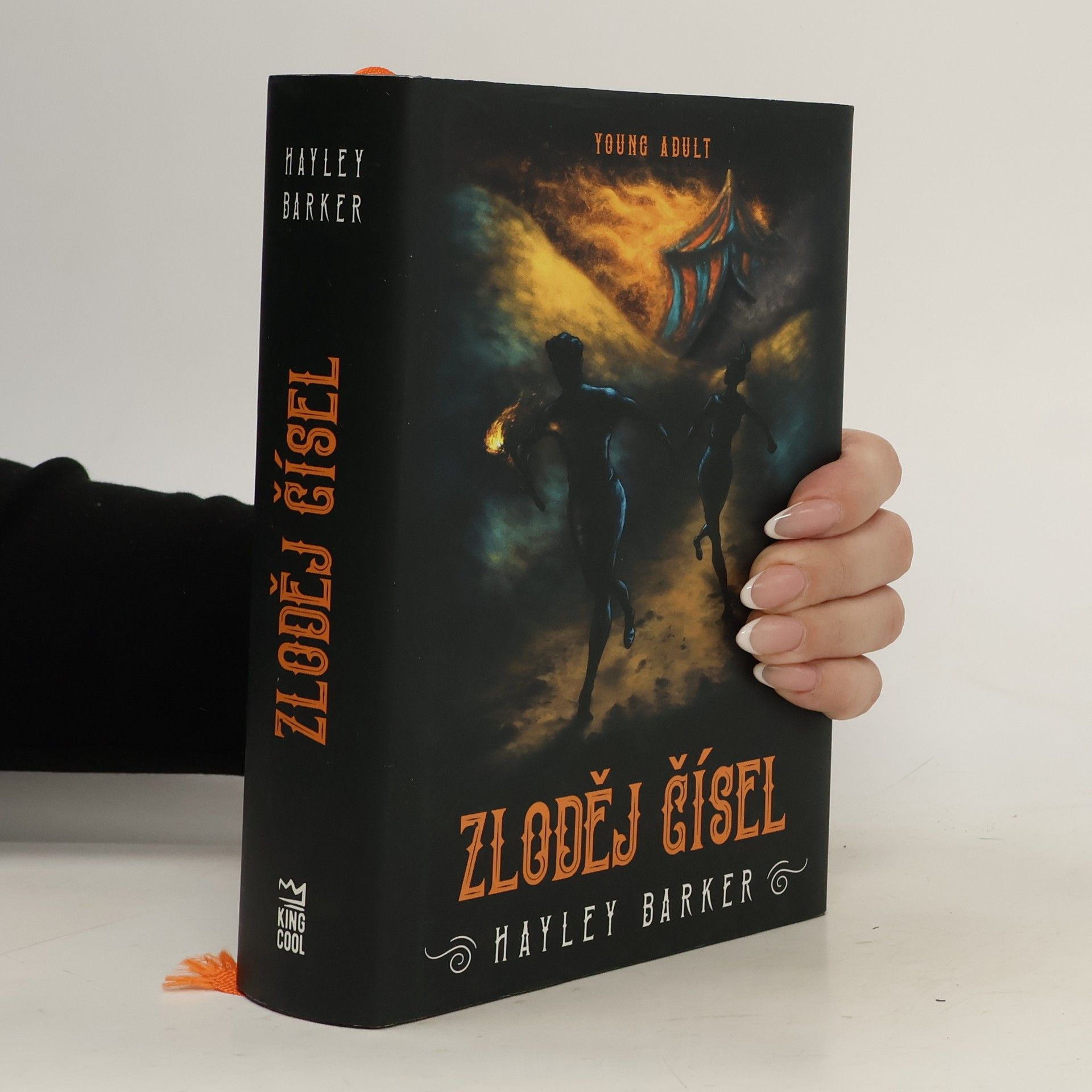 Hayley Barker Zloděj čísel