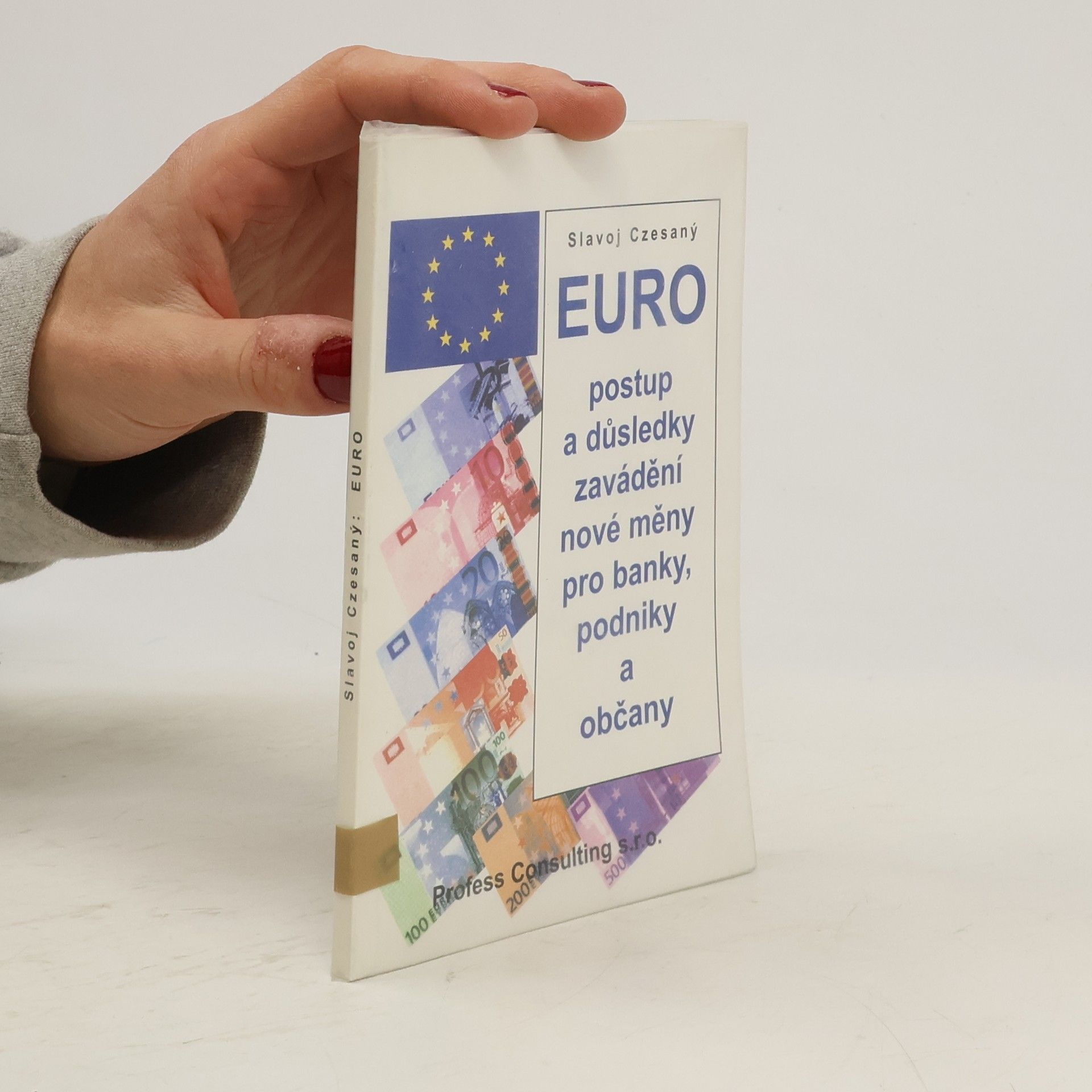 Euro : postup a důsledky zavádění nové měny pro banky, podniky a občany