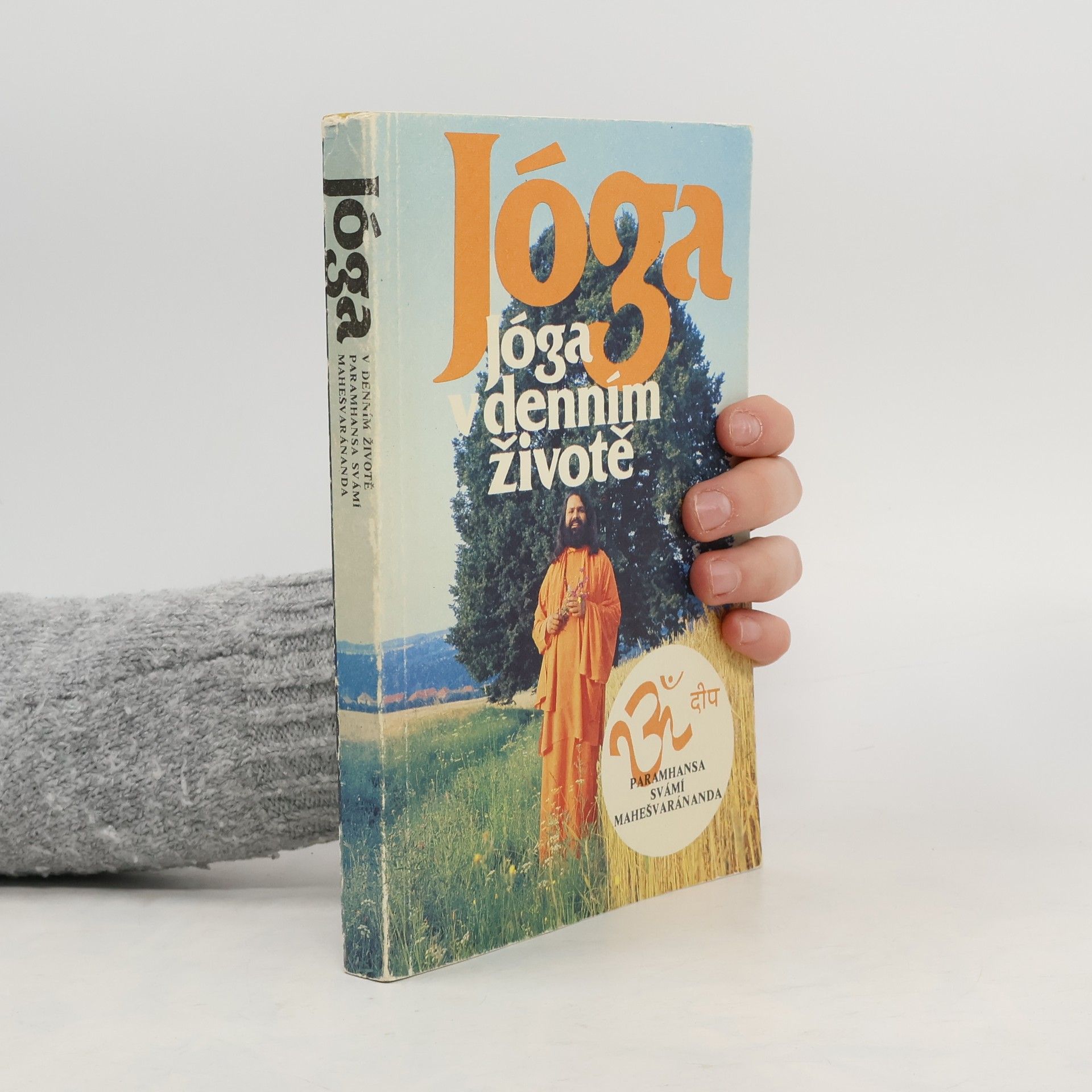 Paramhans Swami Maheshwarananda Jóga v denním životě