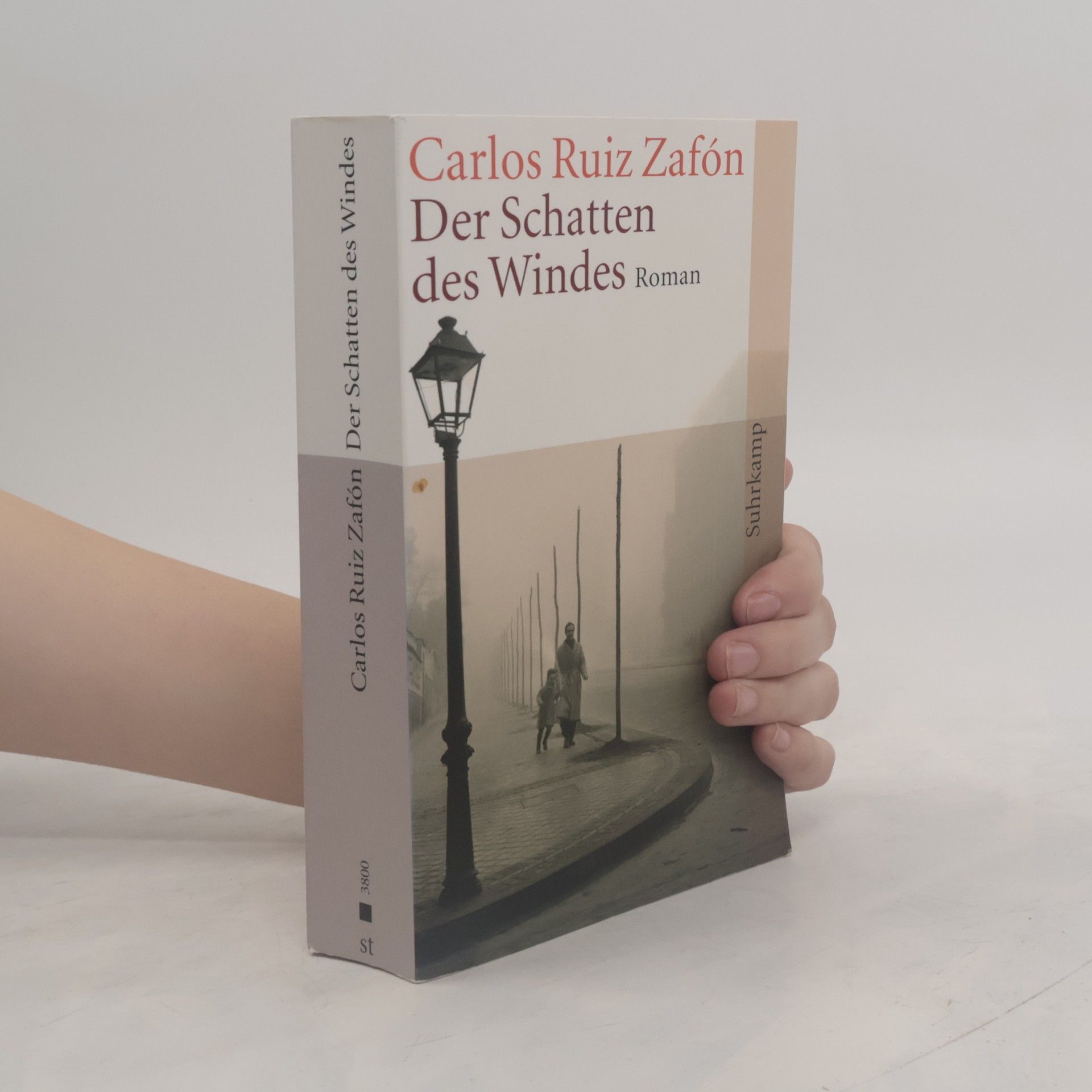 Carlos Ruiz Zafón Der Schatten des Windes