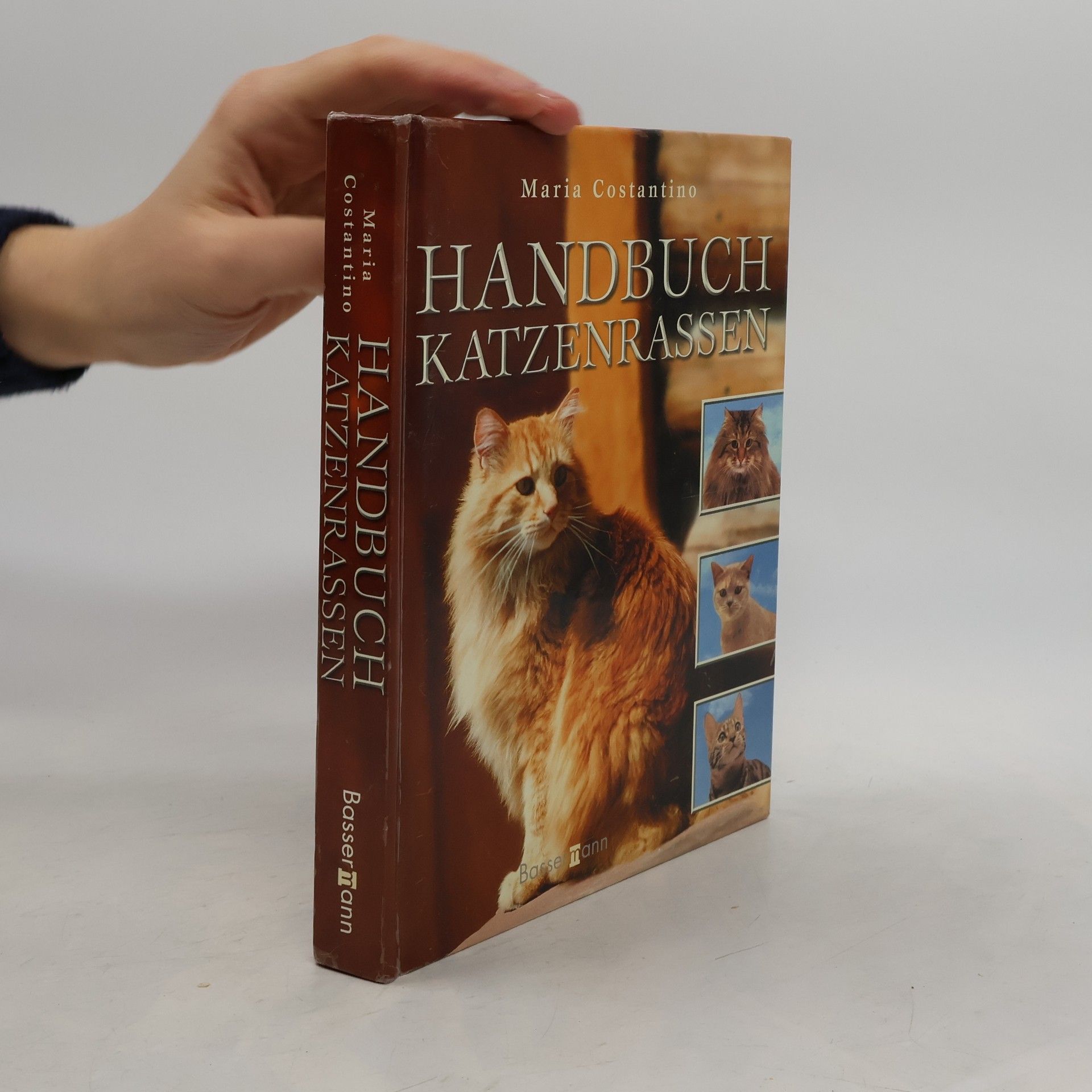 Maria Constantino Handbuch Katzenrassen