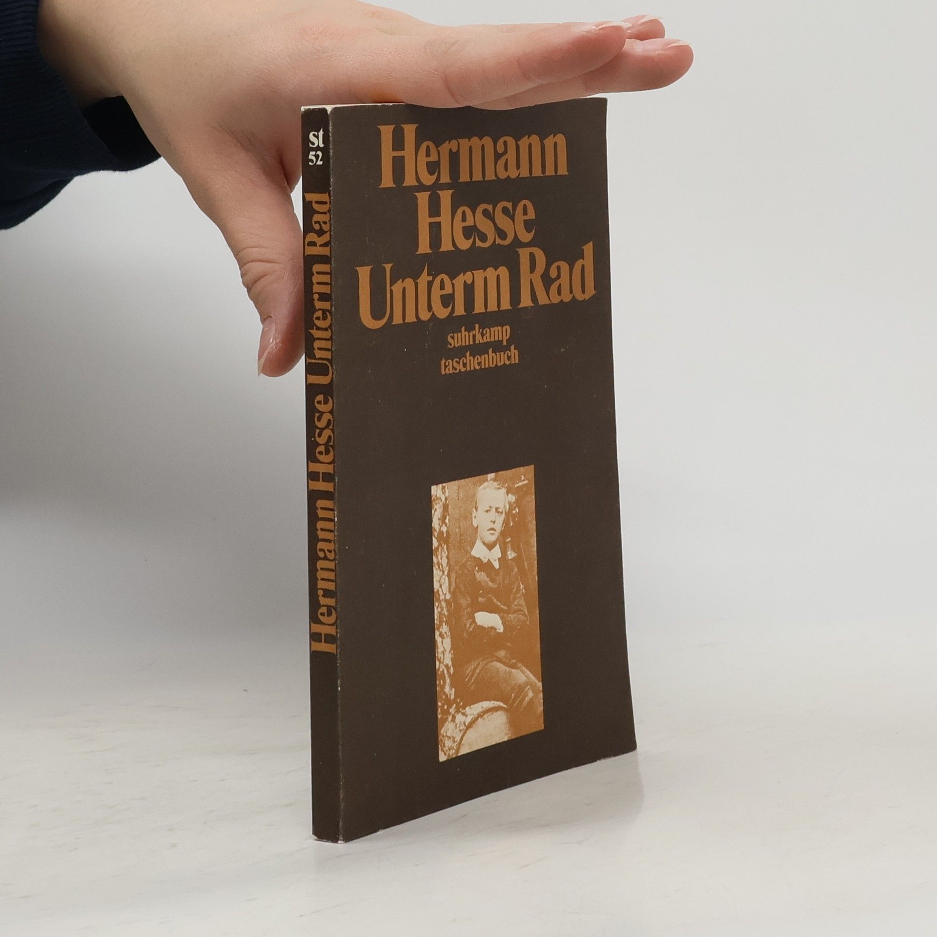 Hermann Hesse Unterm Rad