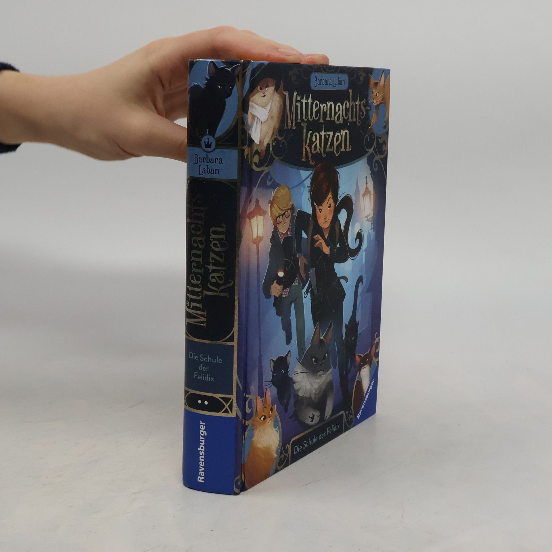 Barbara Laban Die Schule der Felidix