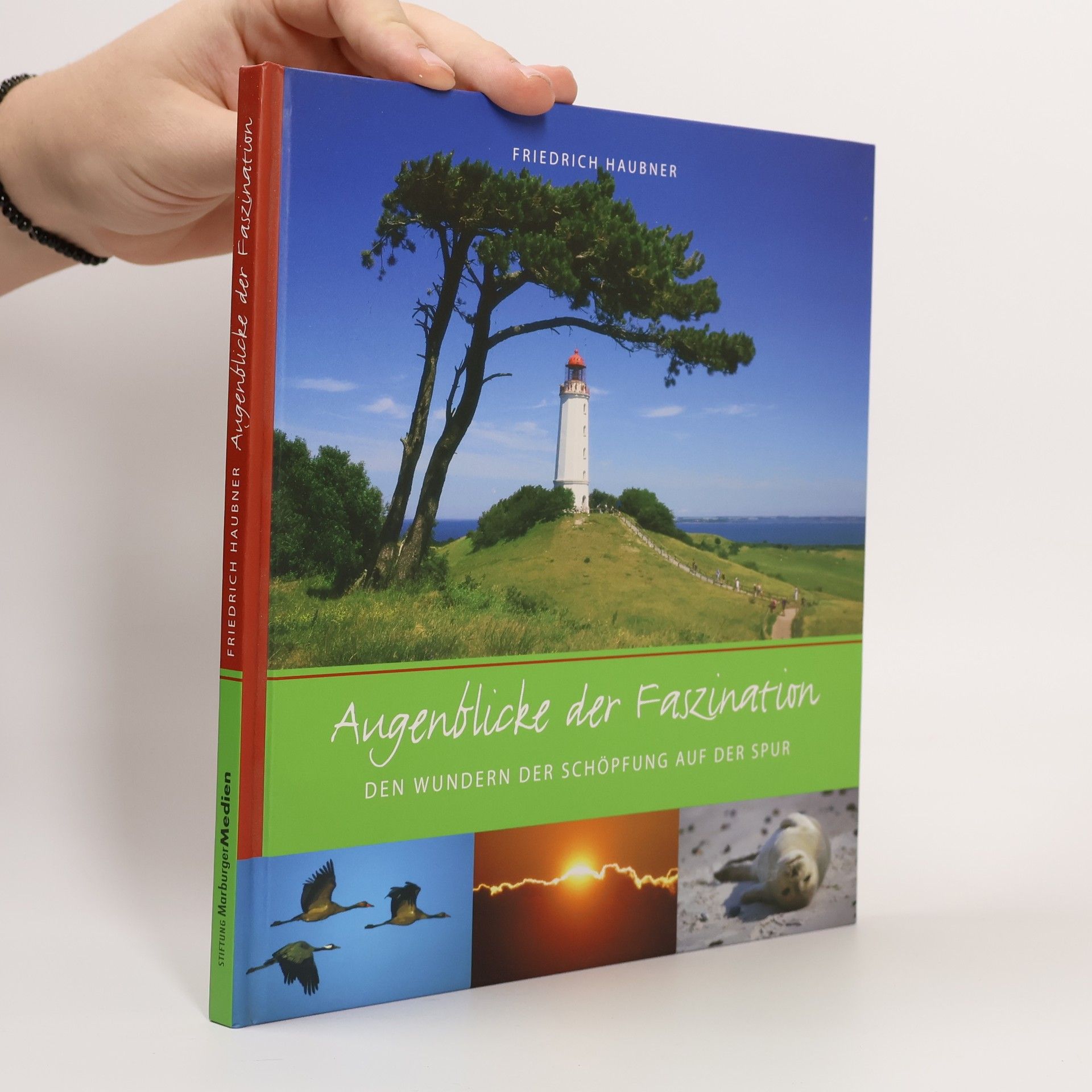 Augenblicke der Faszination