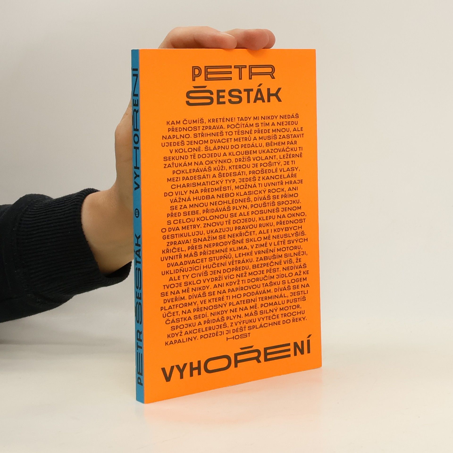 Petr Šesták Vyhoření