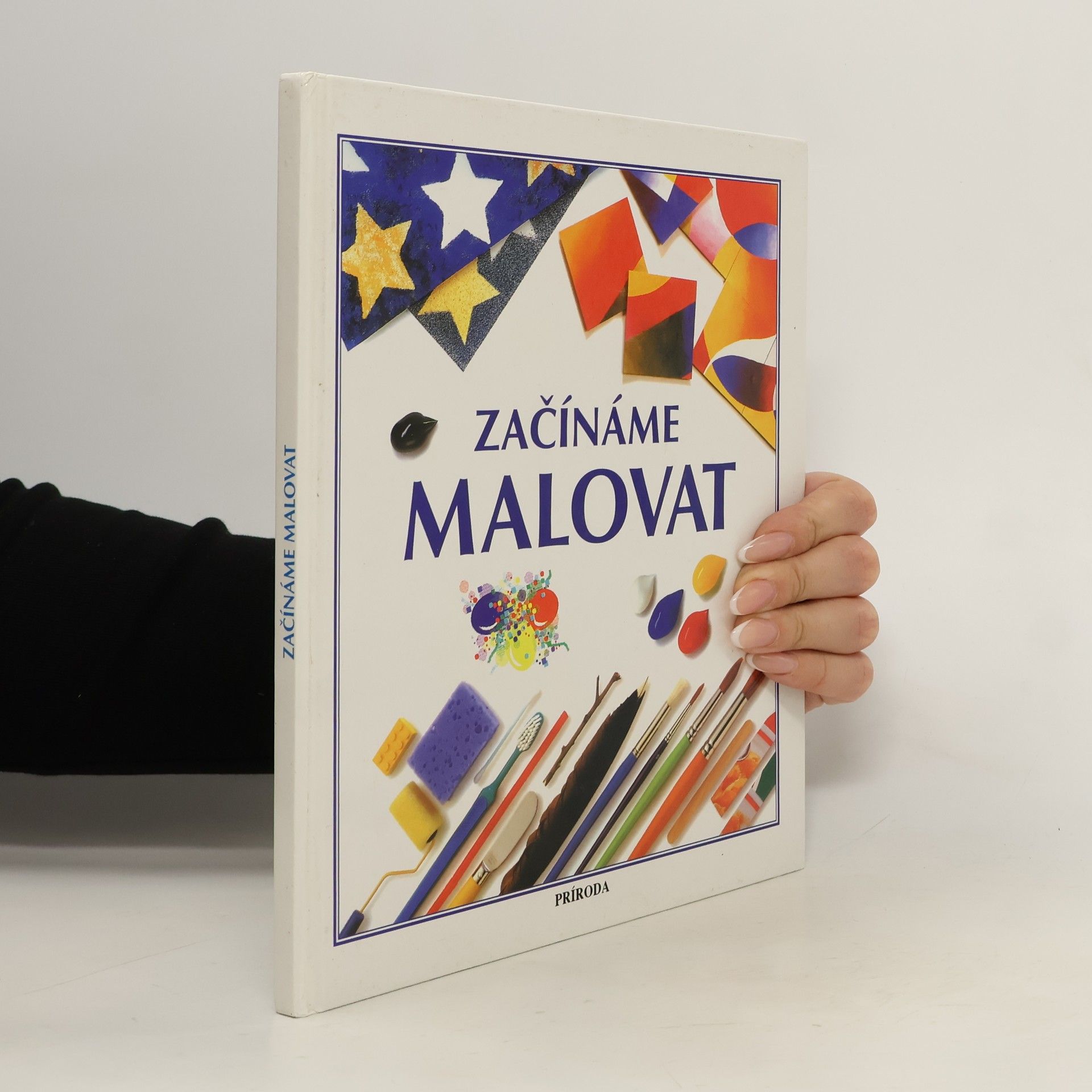 Susan Mayes Začínáme malovat