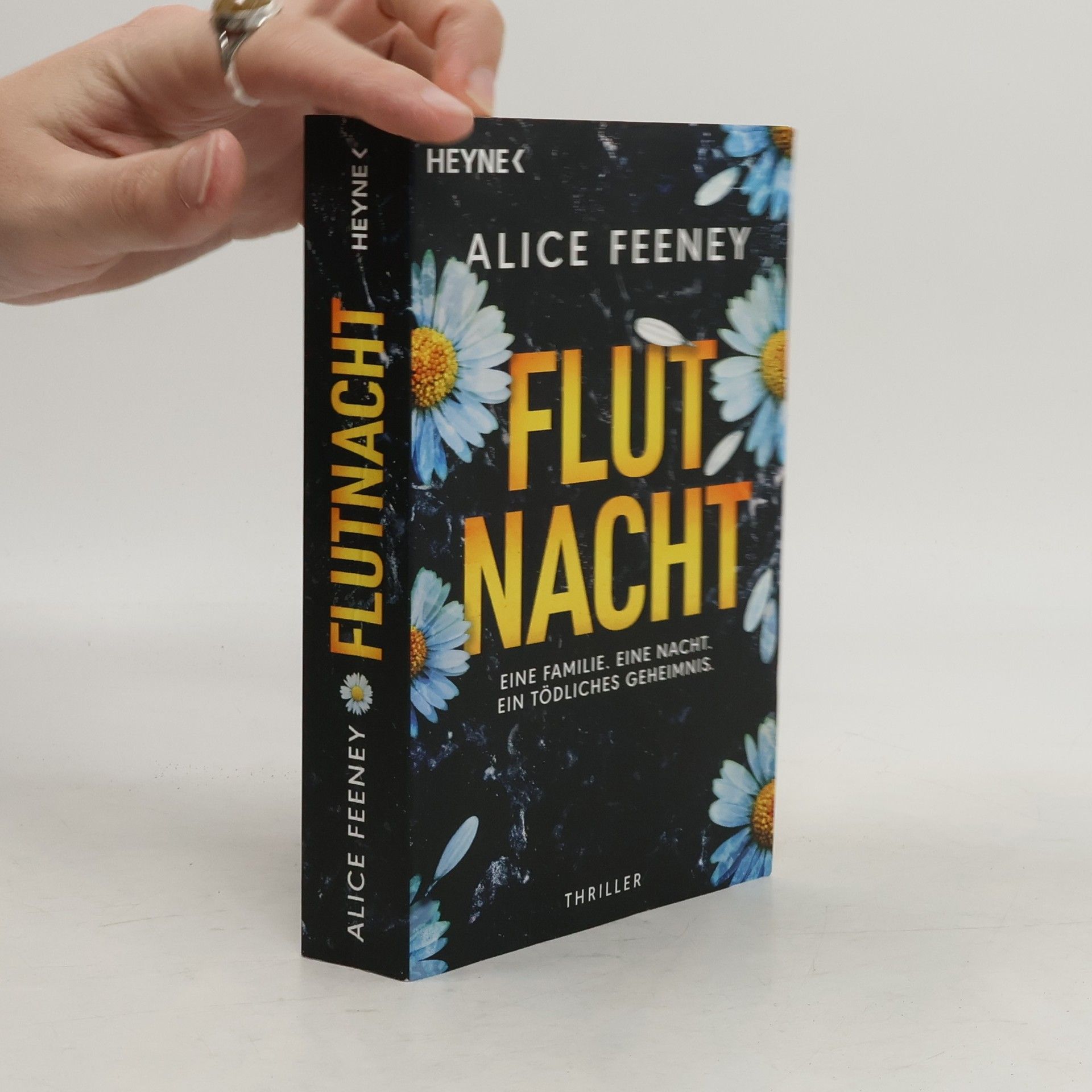 Flutnacht – Eine Familie. Eine Nacht. Ein tödliches Geheimnis.. Thriller