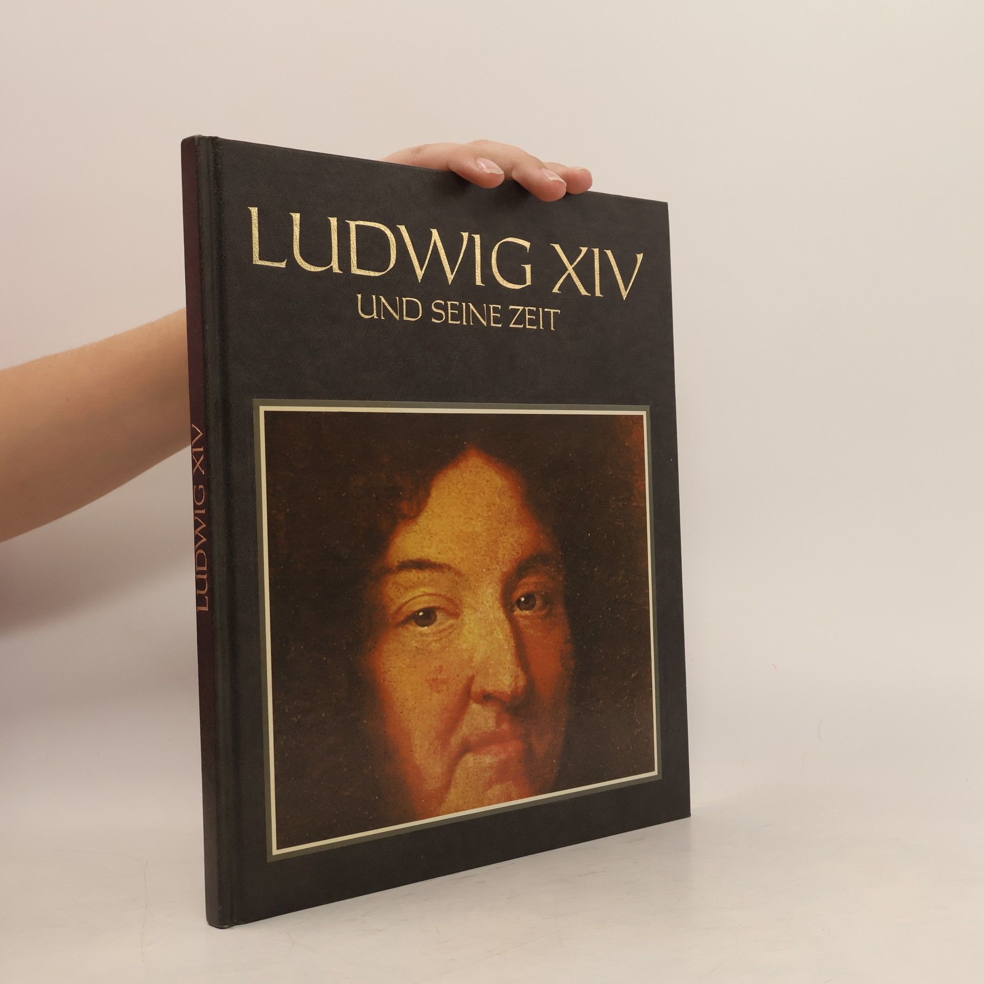 Claudio Menegazzi Ludwig XIV. und seine Zeit