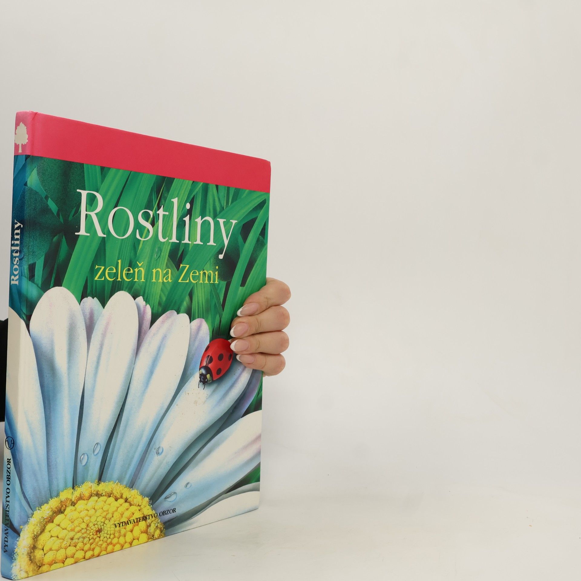 Lucia Benedittiová Rostliny. Zeleň na zemi