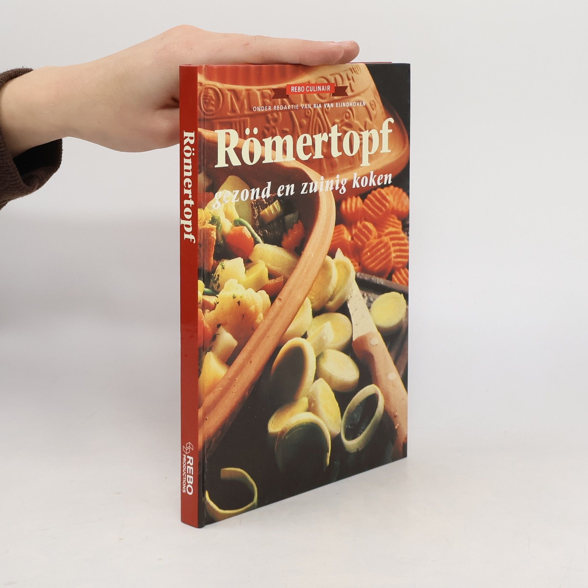 Kolektív autorov Römertopf gezond en zuinig koken