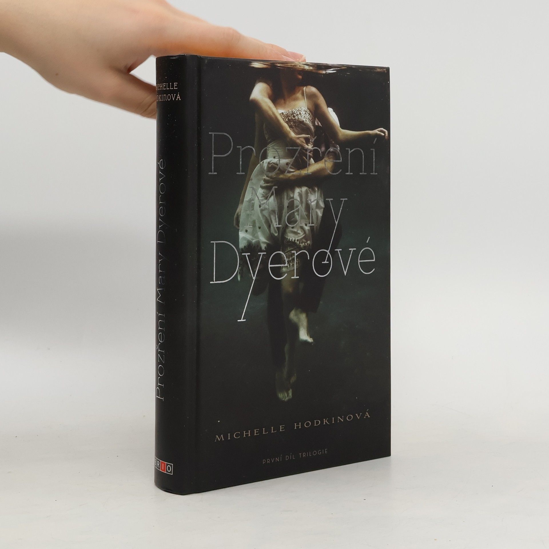 Michelle Hodkin Prozření Mary Dyerové