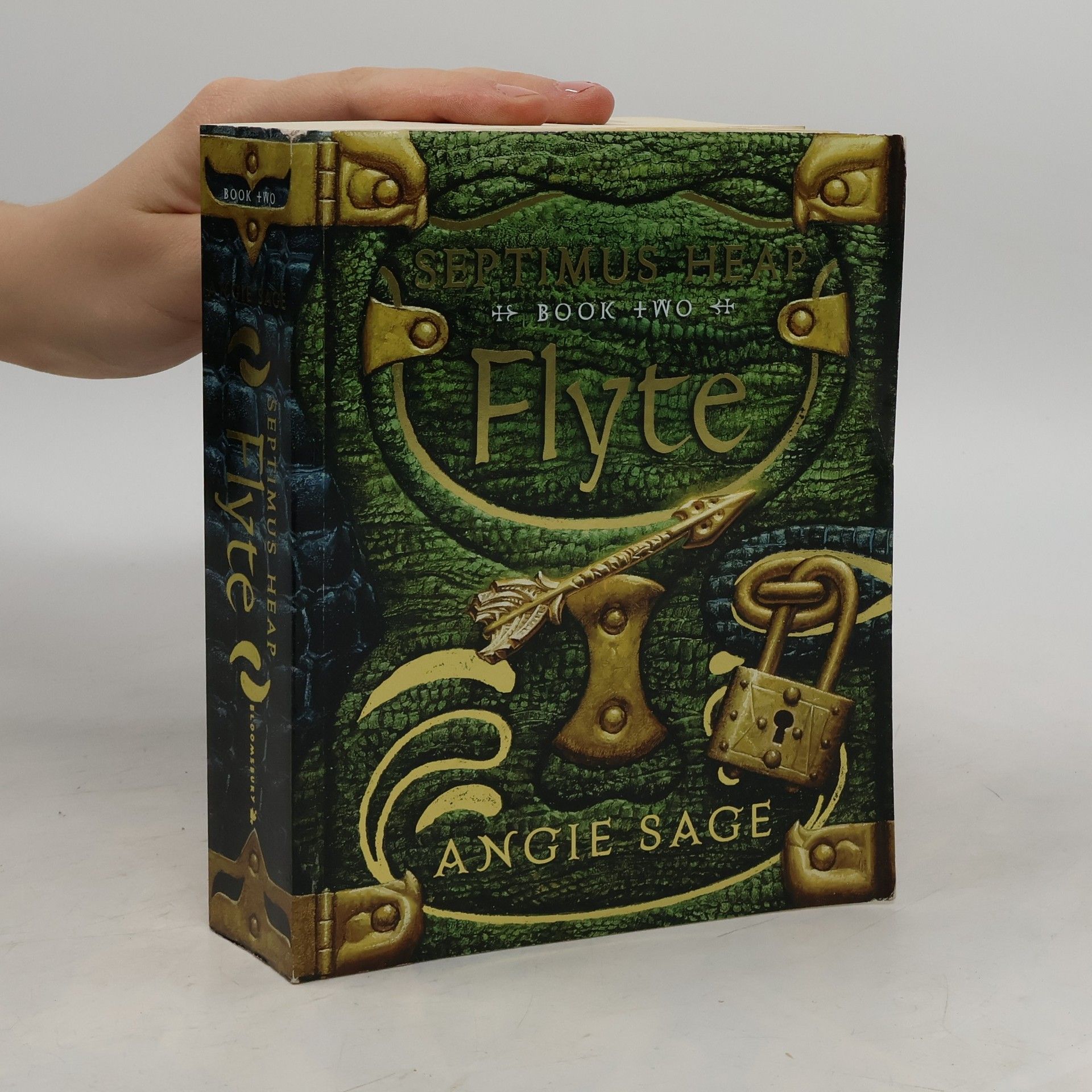 Angie Sage Flyte