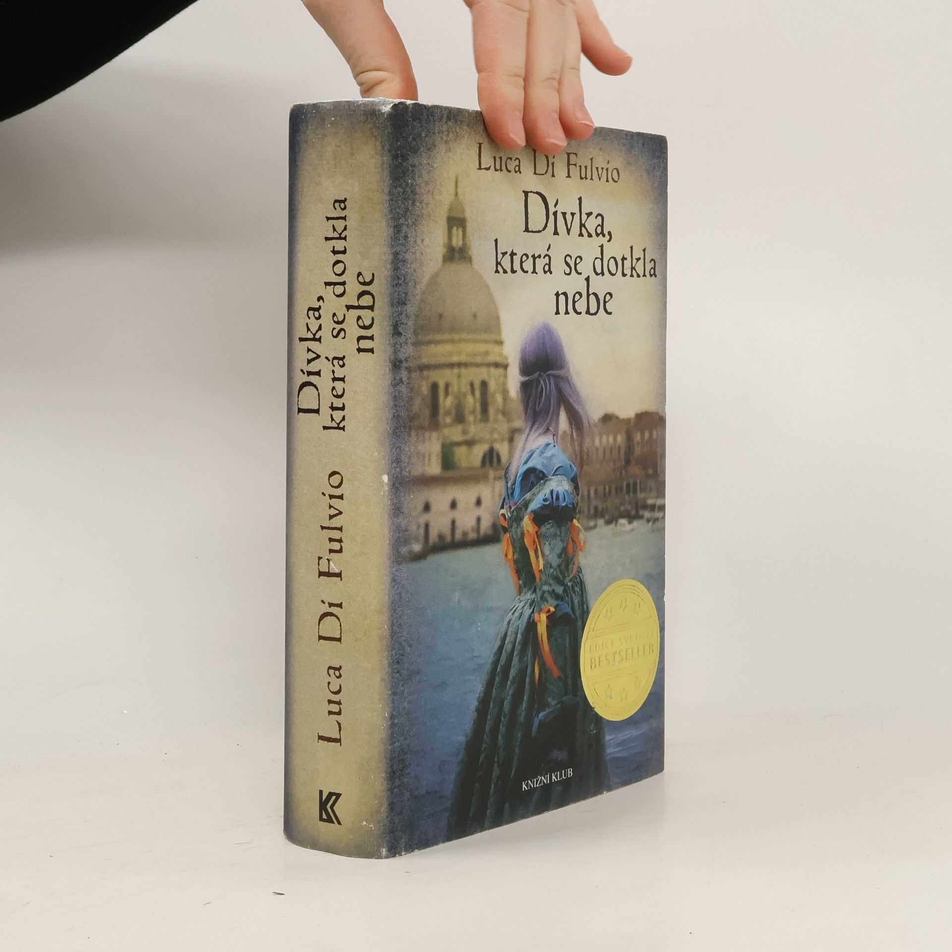 Dívka, která se dotkla nebe