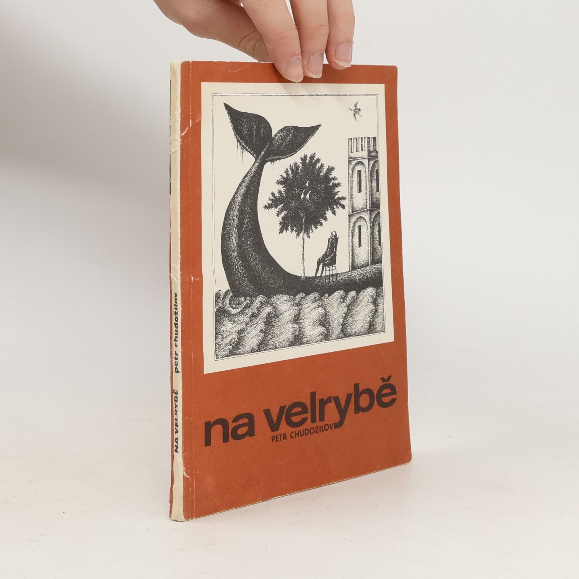 Petr Chudožilov Na velrybě