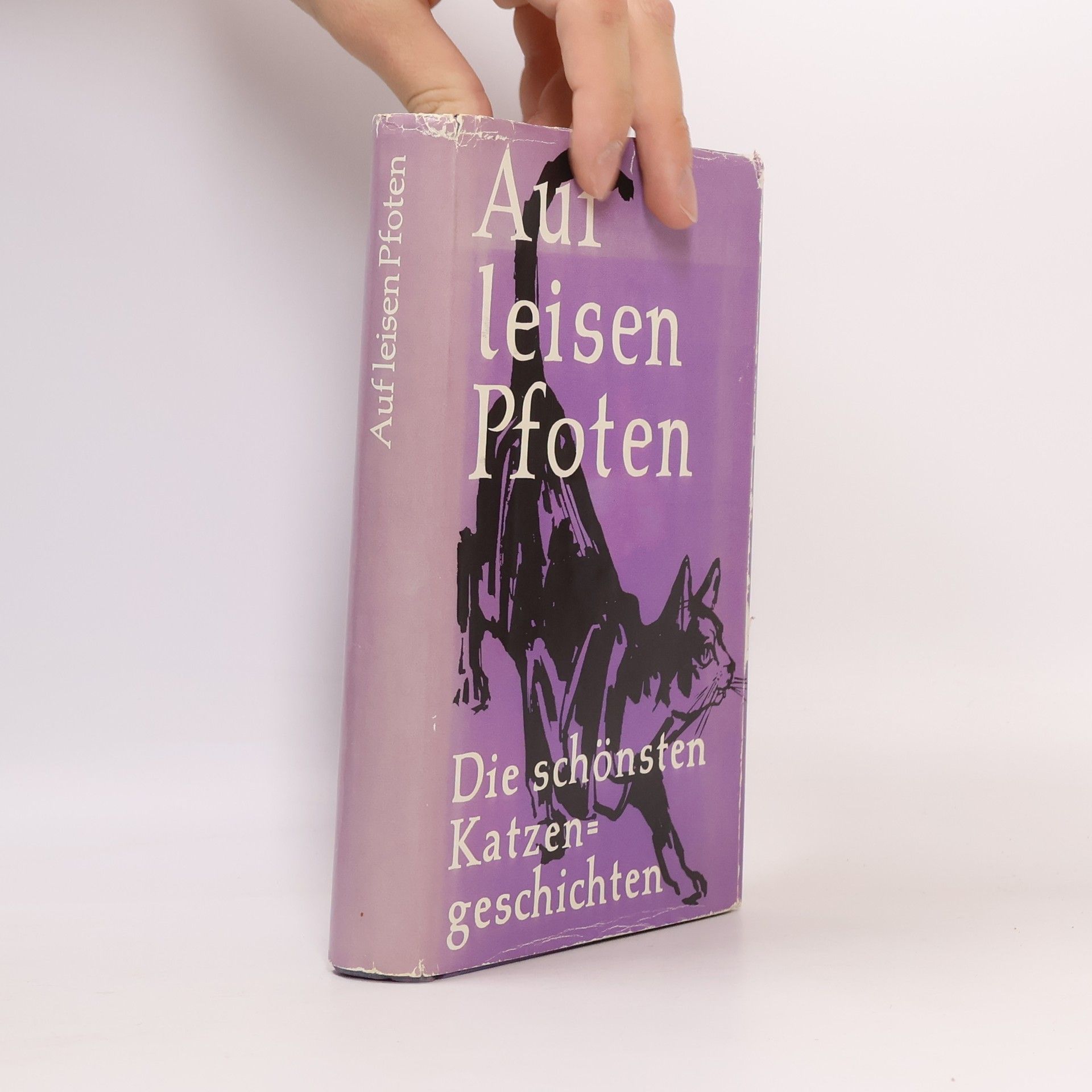 Autorenkollektiv Auf leisen Pfoten