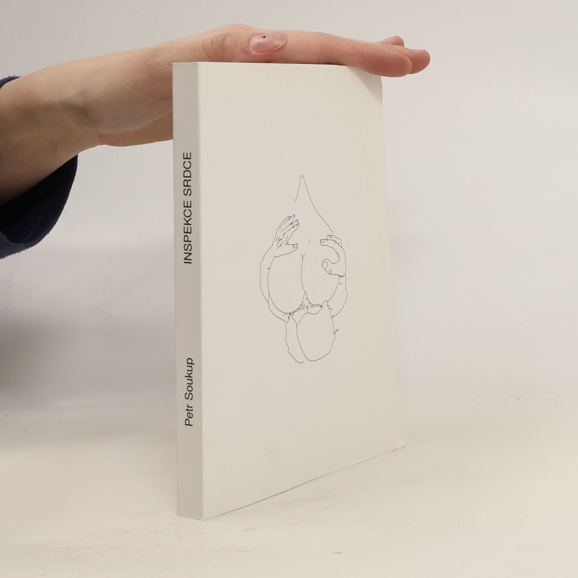 Petr Soukup Inspekce srdce