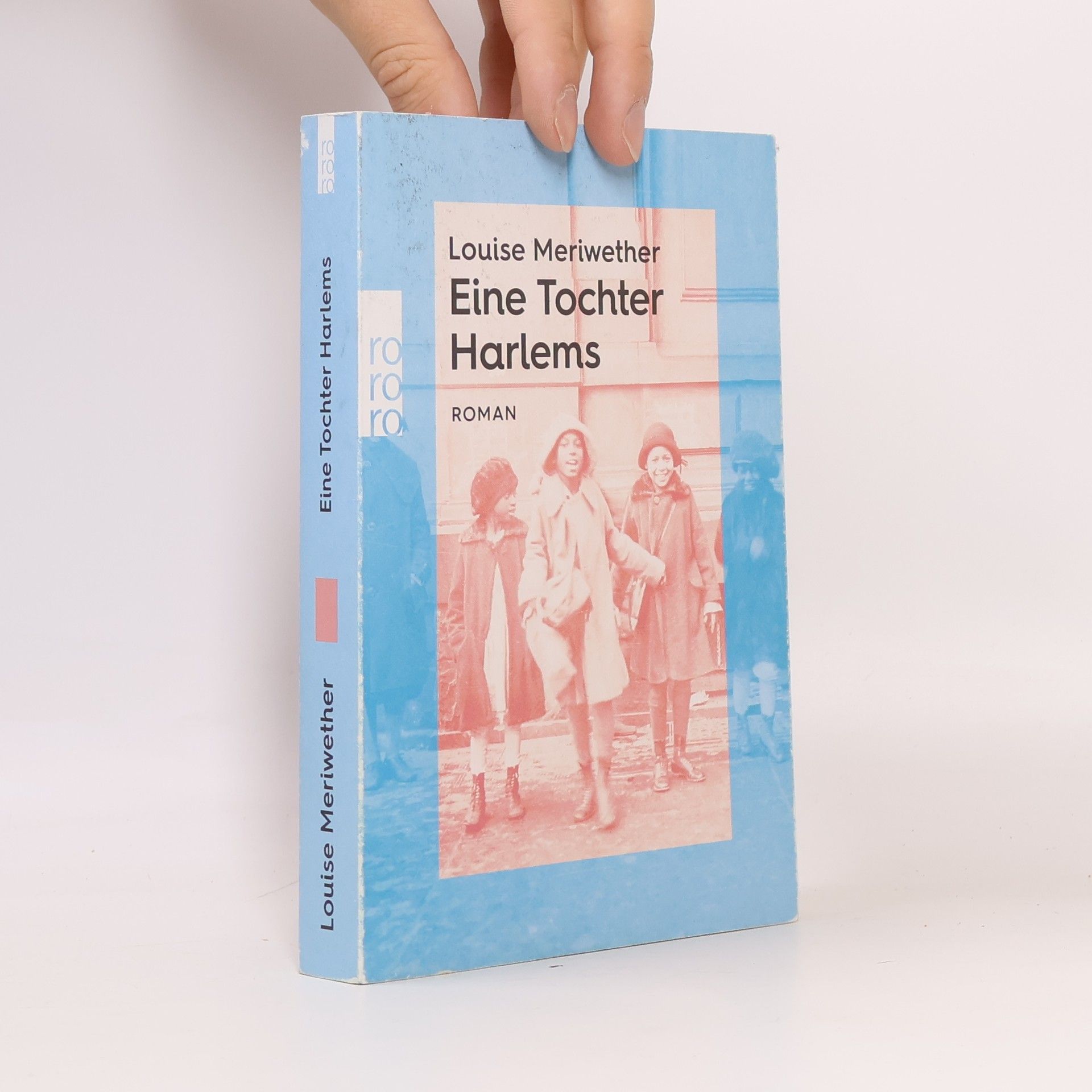 Louise Meriwether Eine Tochter Harlems