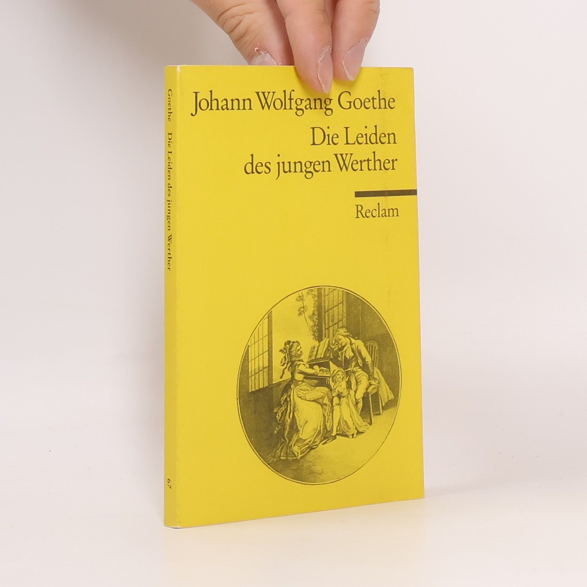 Johann Wolfgang von Goethe Die Leiden des jungen Werther