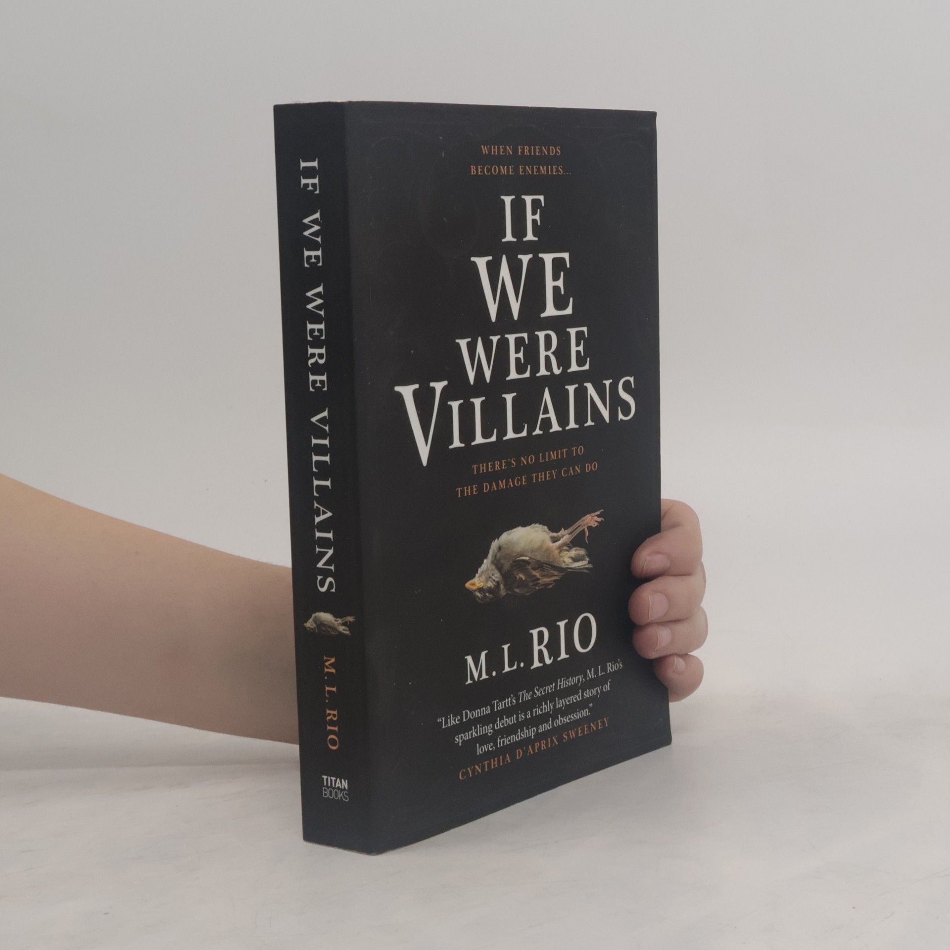 M. L. Rio If We Were Villains