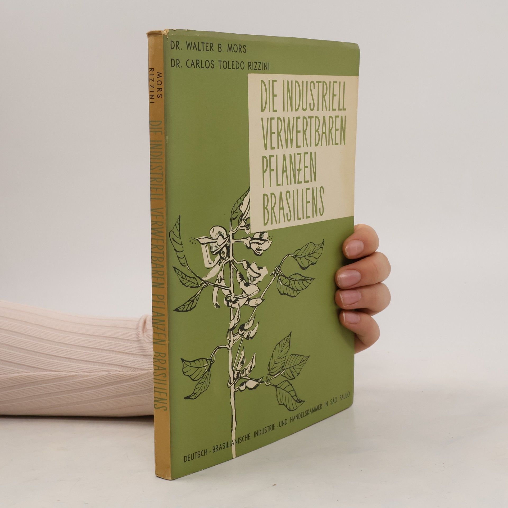Carlos Toledo Rizzini Die industriell verwertbaren Pflanzen Brasiliens