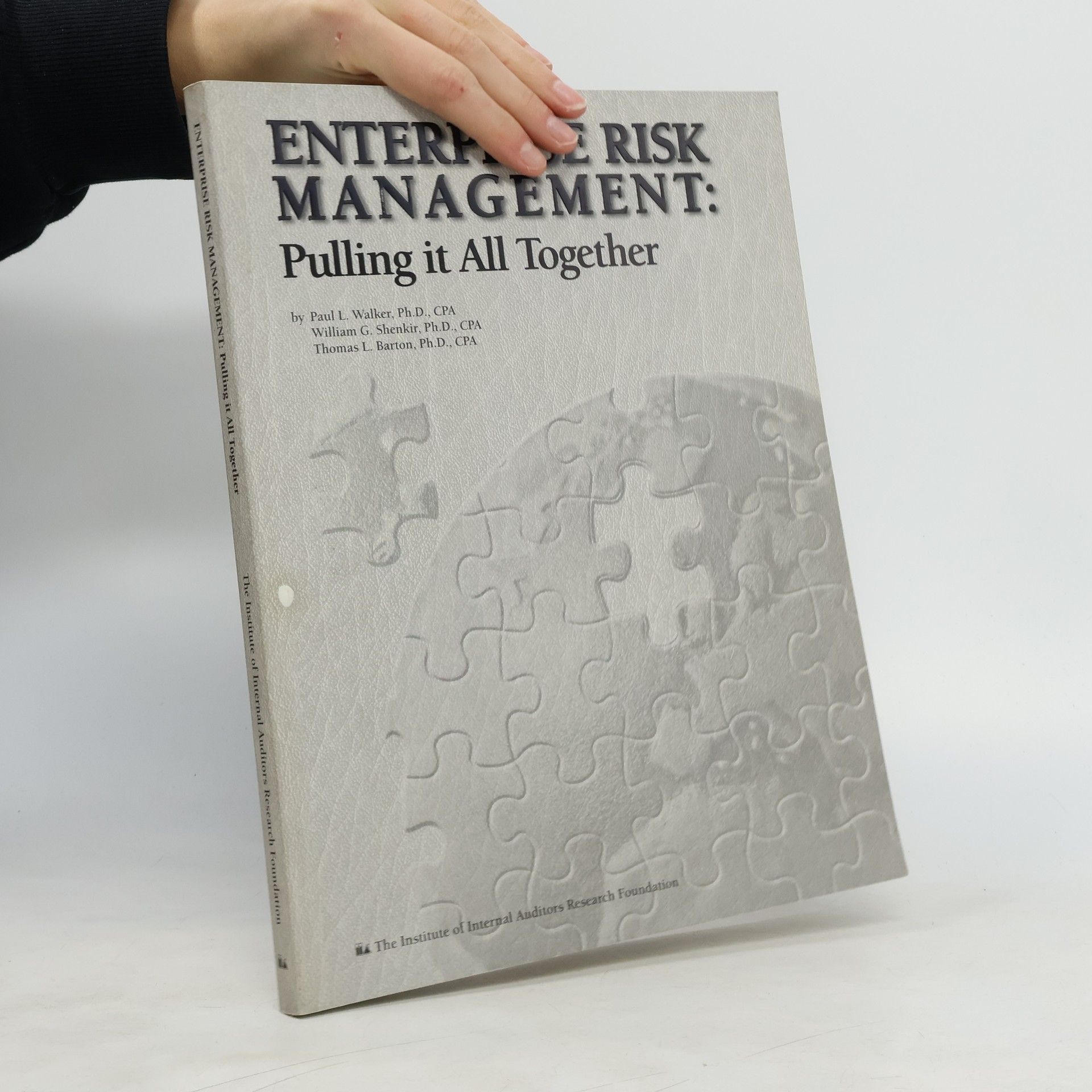 Paul L. Walker Enterprise Risk Management