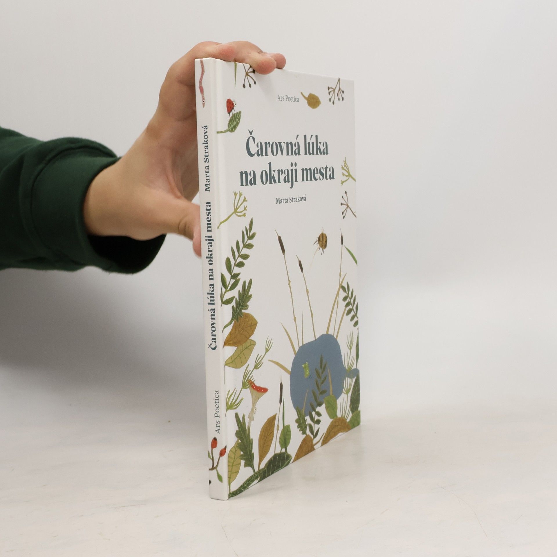Marta Straková Čarovná lúka na okraji mesta