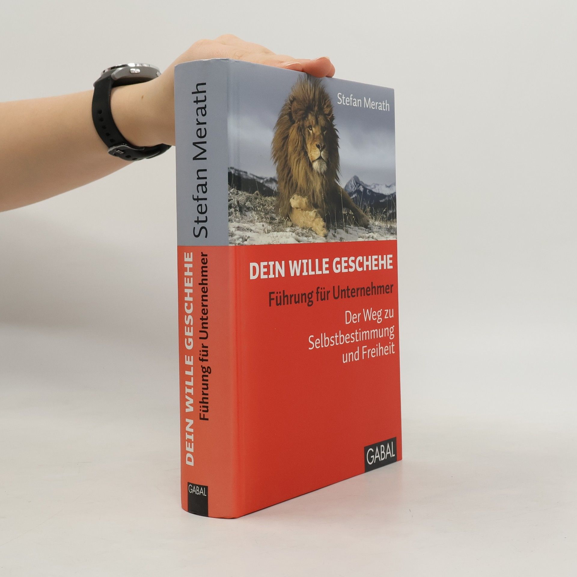 Stefan Merath Dein Wille geschehe