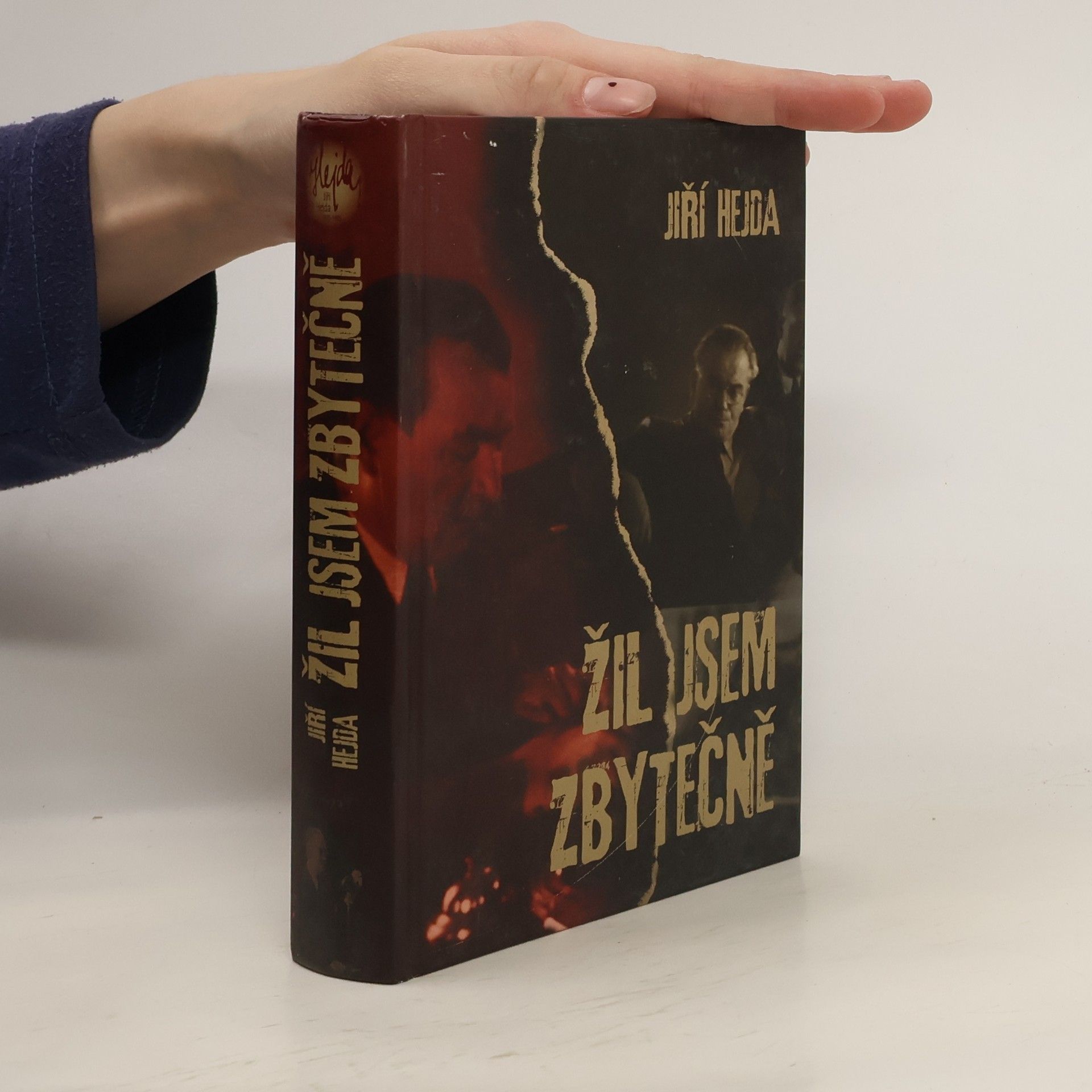 Jiří Hejda Žil jsem zbytečně