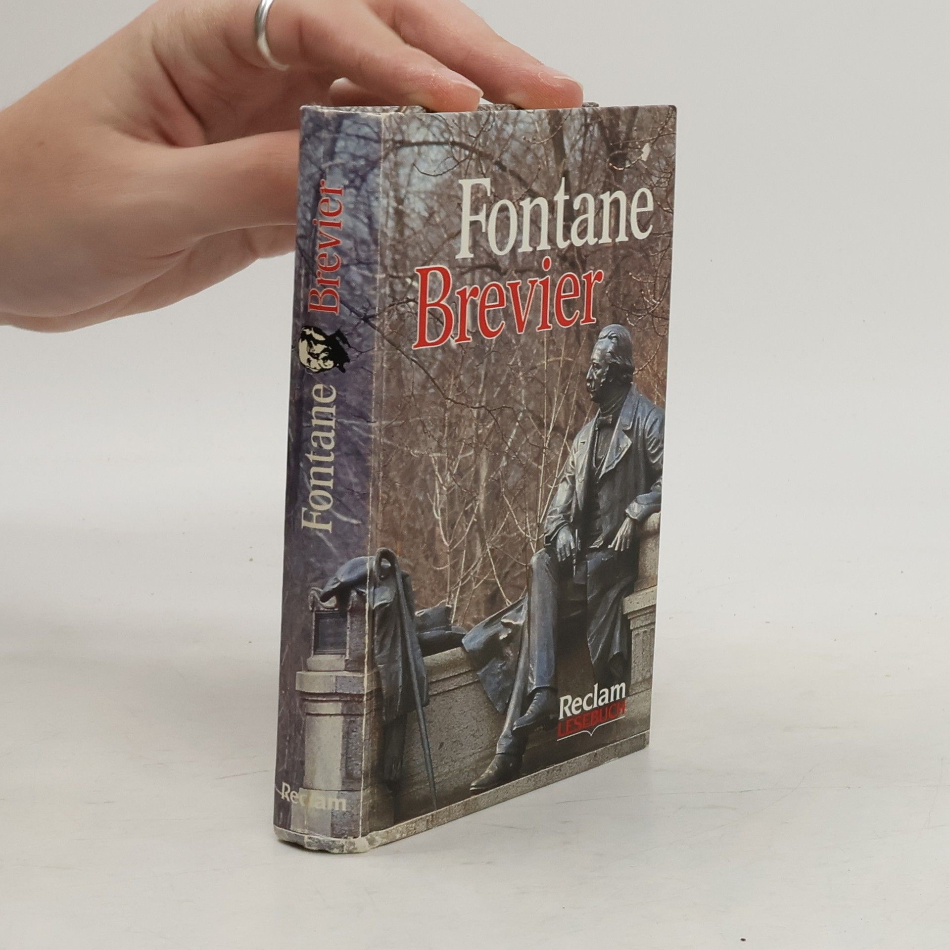 Theodor Fontane Fontane-Brevier