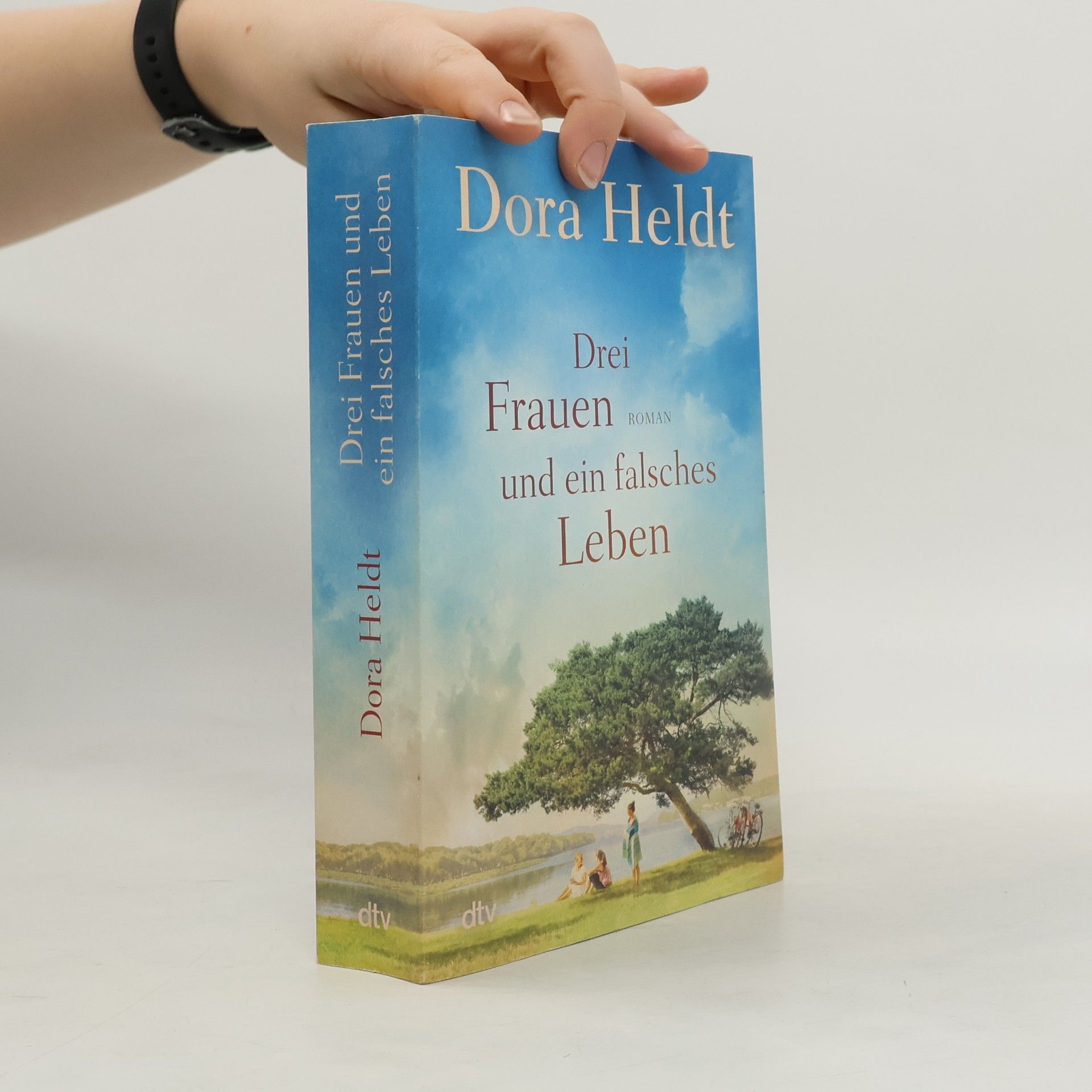 Dora Heldt Drei Frauen und ein falsches Leben