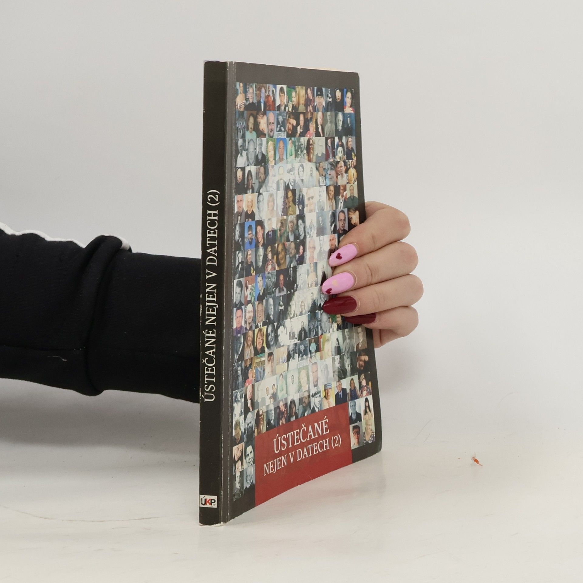 Milan Pištěk Ústečané nejen v datech