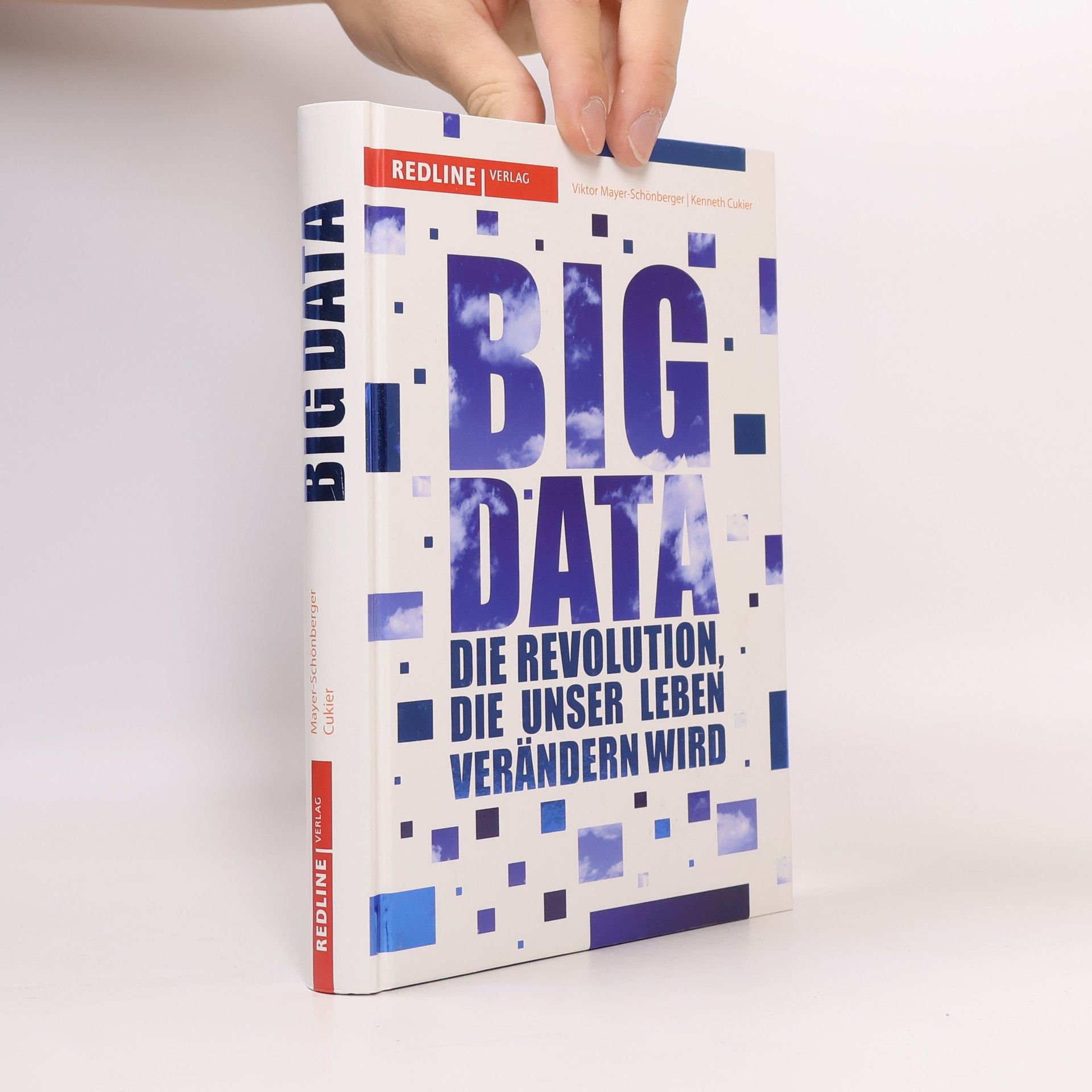 Viktor Mayer-Schönberger Big Data