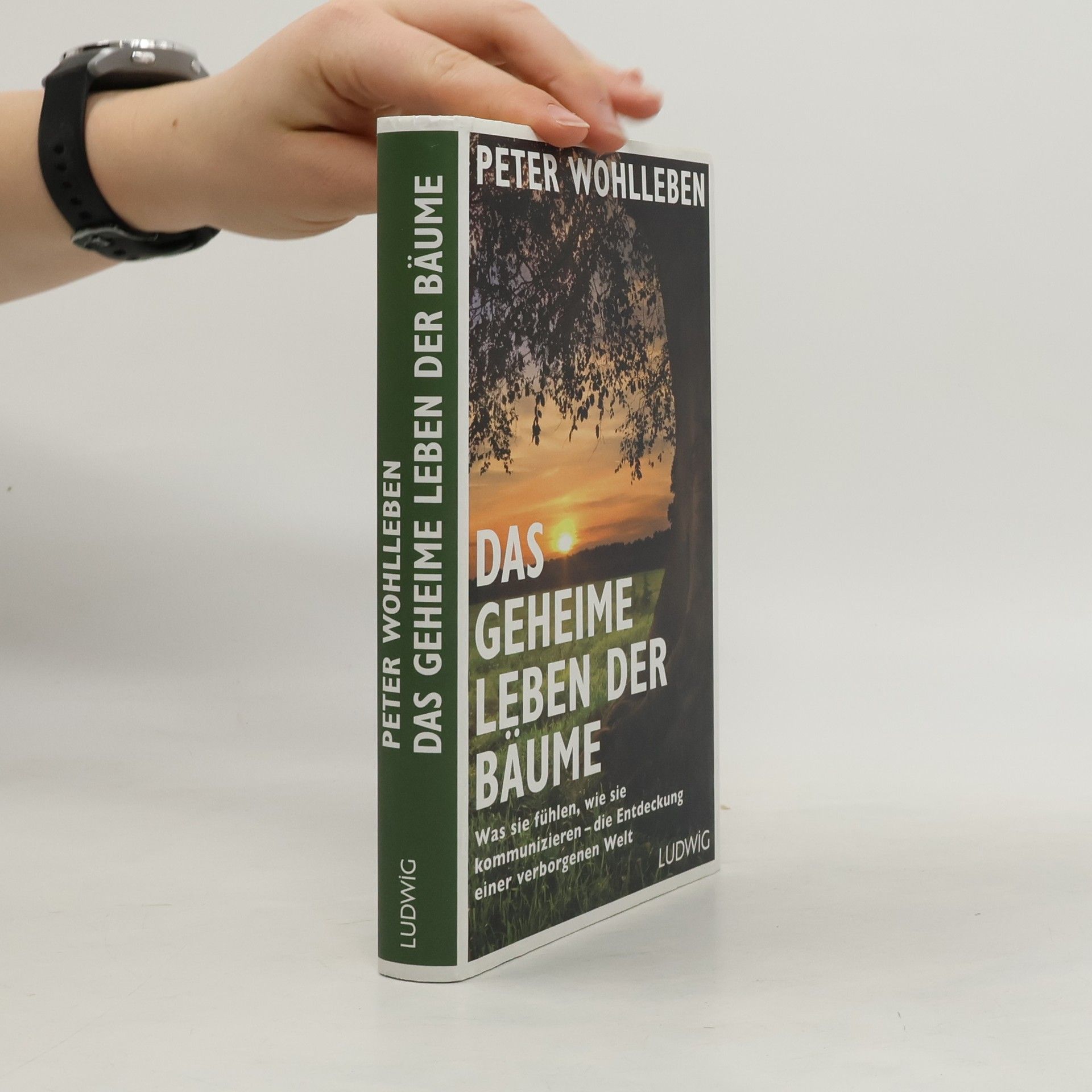 Peter Wohlleben Das geheime Leben der Bäume