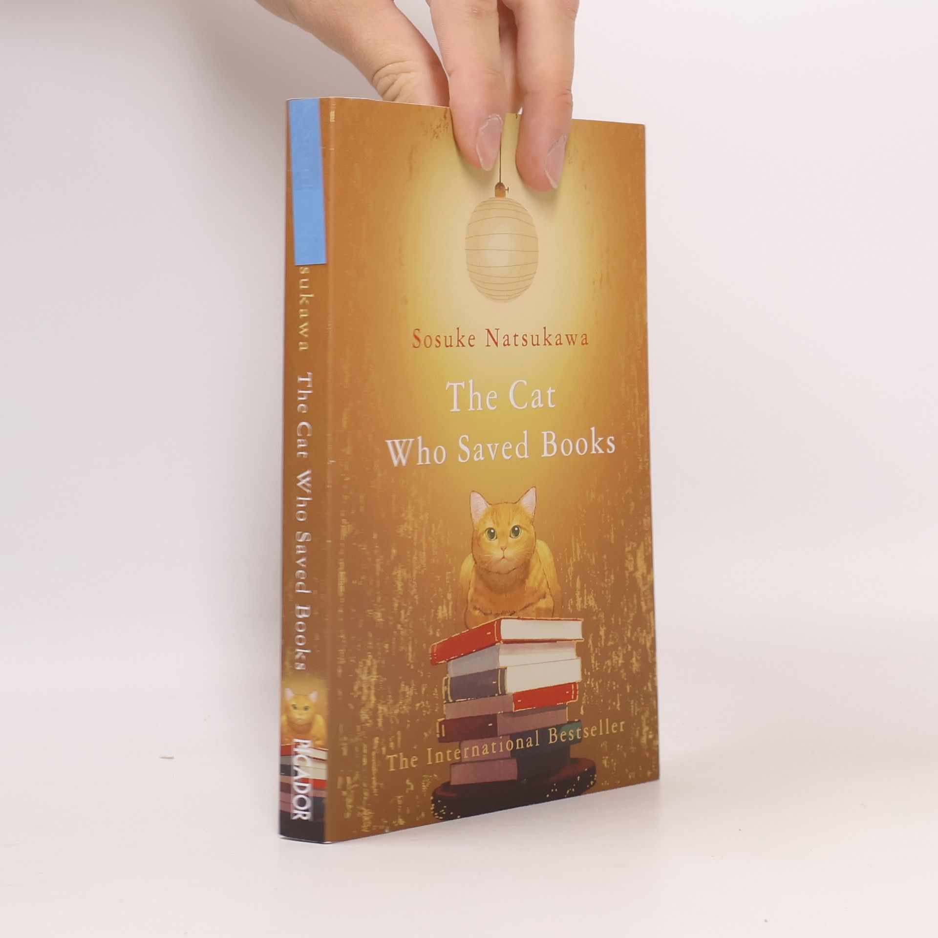 Sōsuke Natsukawa The cat who saved books