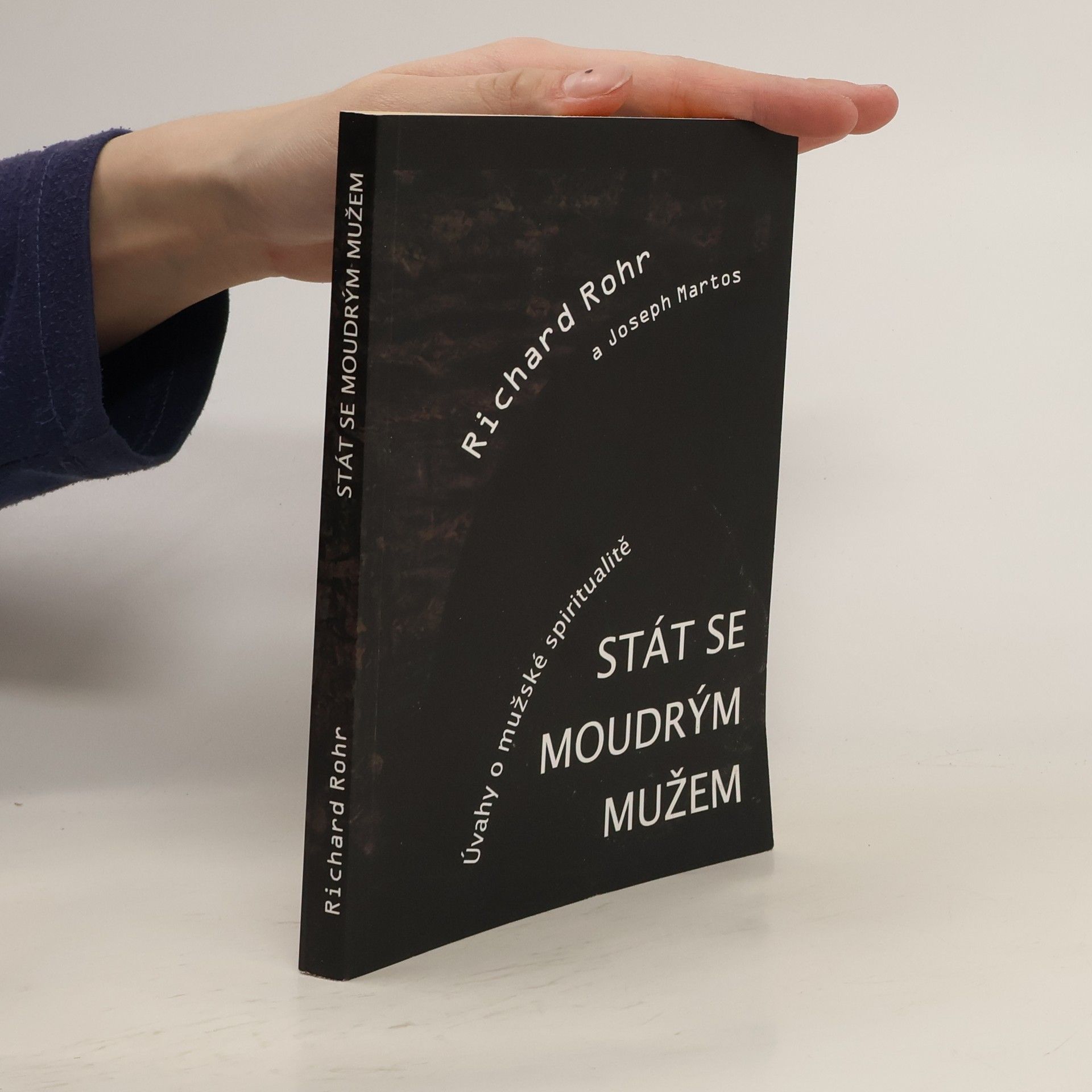 Joseph Martos Stát se moudrým mužem. Úvahy o mužské spiritualitě