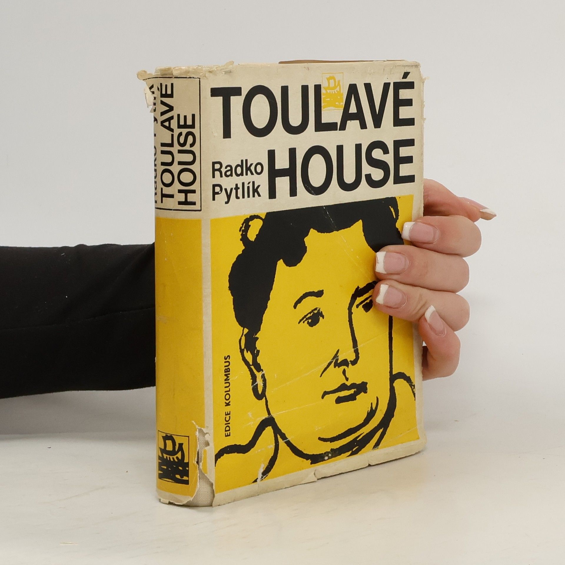 Radko Pytlík Toulavé housle. Zpráva o Jaroslavu Haškovi