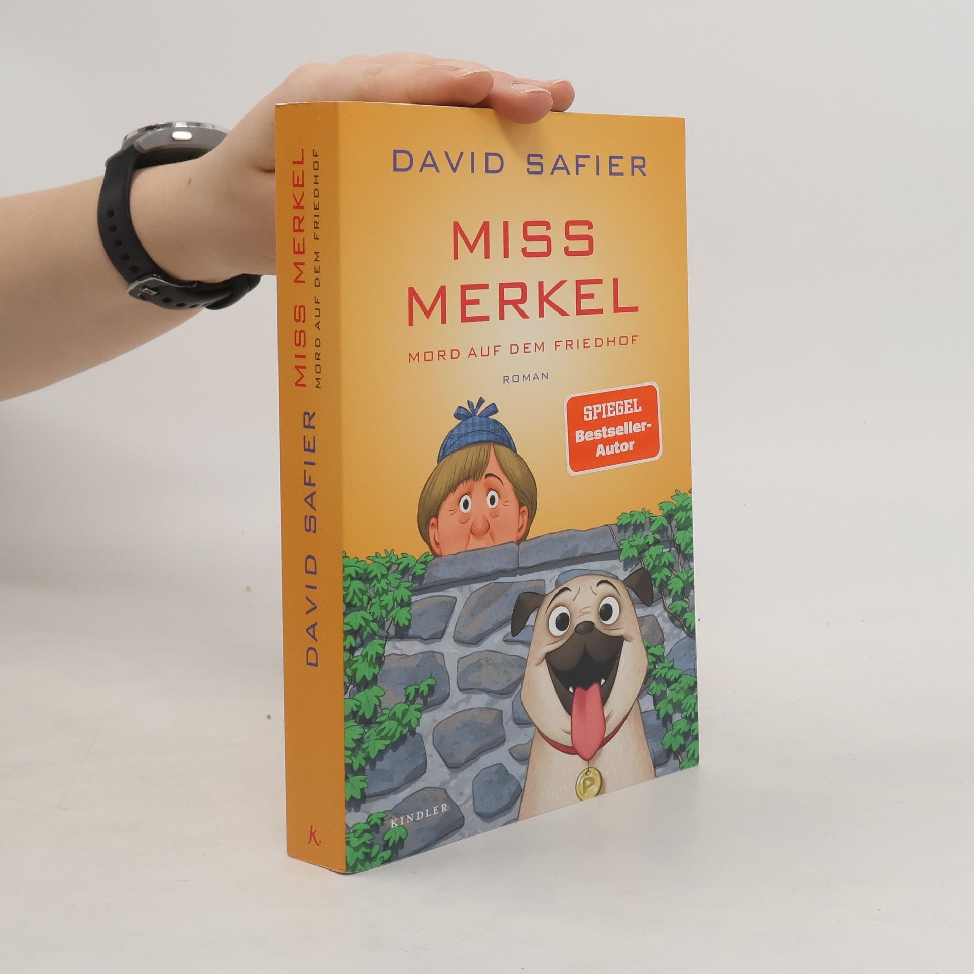 David Safier Miss Merkel. Mord auf dem Friedhof