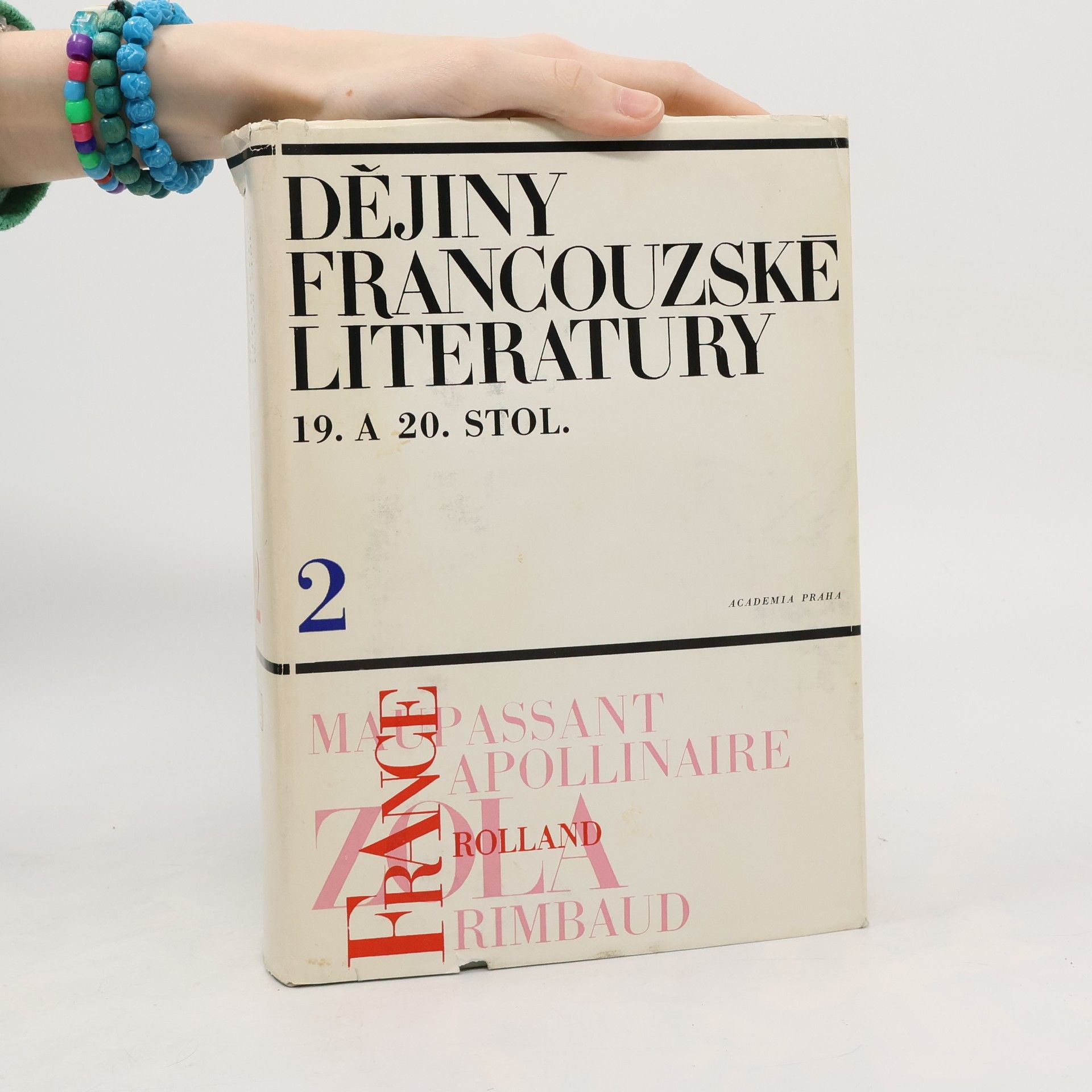 Autorenkollektiv Dějiny francouzské literatury 19. a 20. století 2.díl
