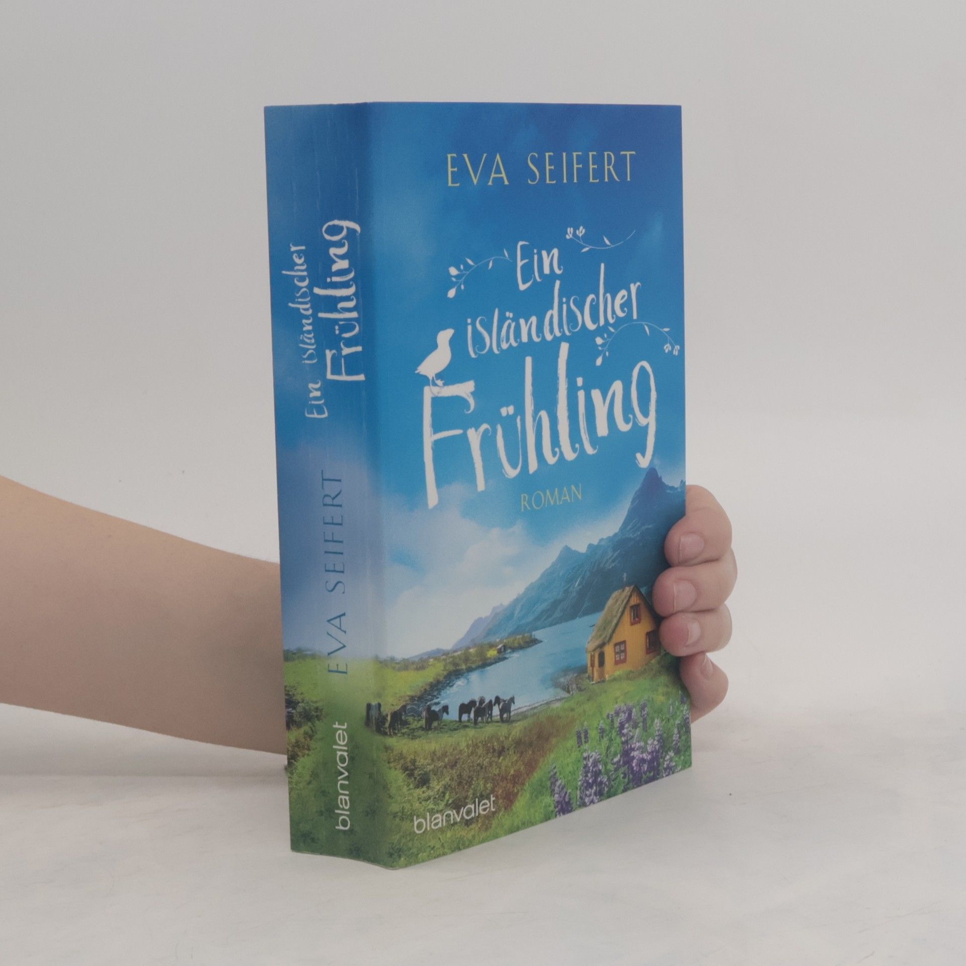 Eva Seifert Ein isländischer Frühling