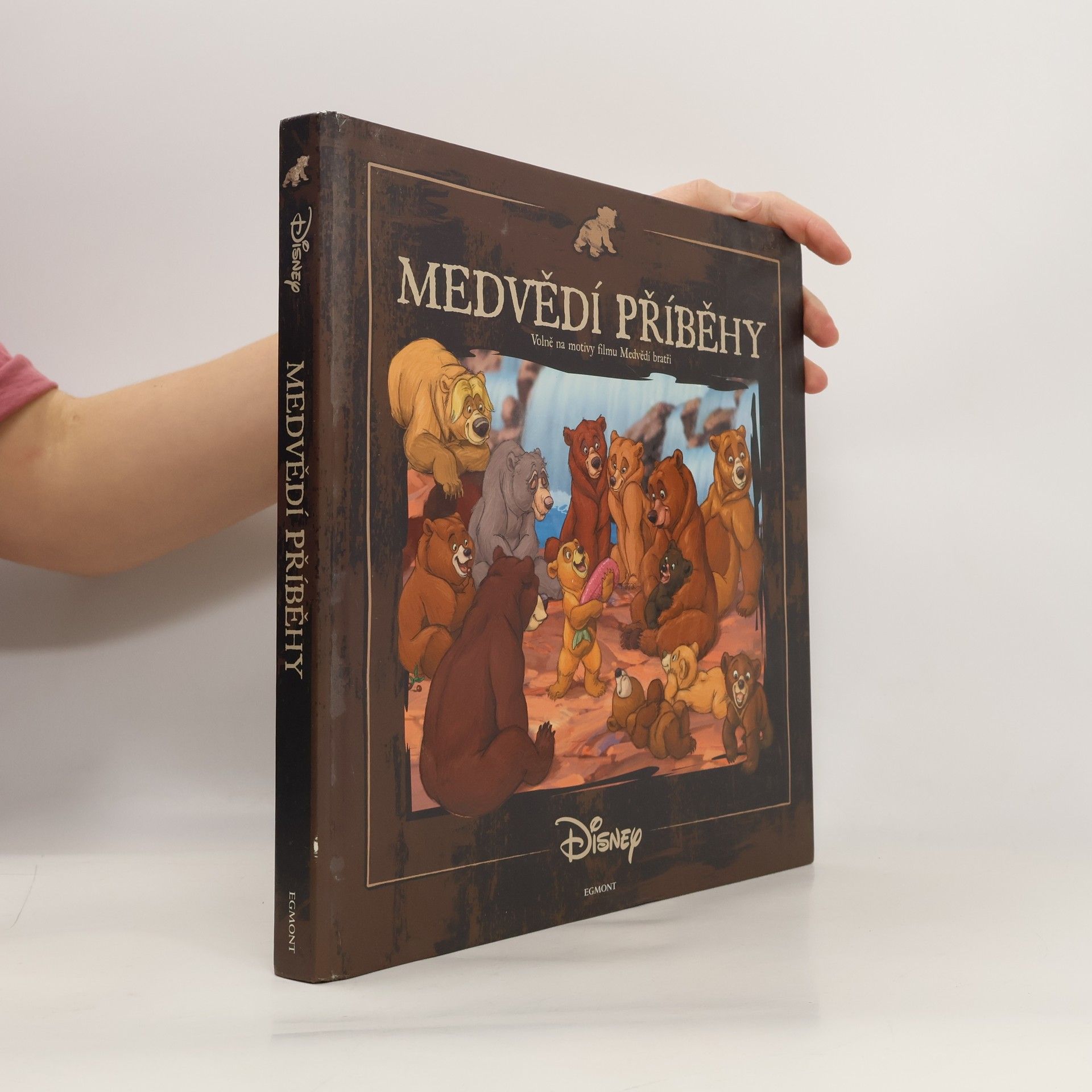 Walt Disney Medvědí příběhy