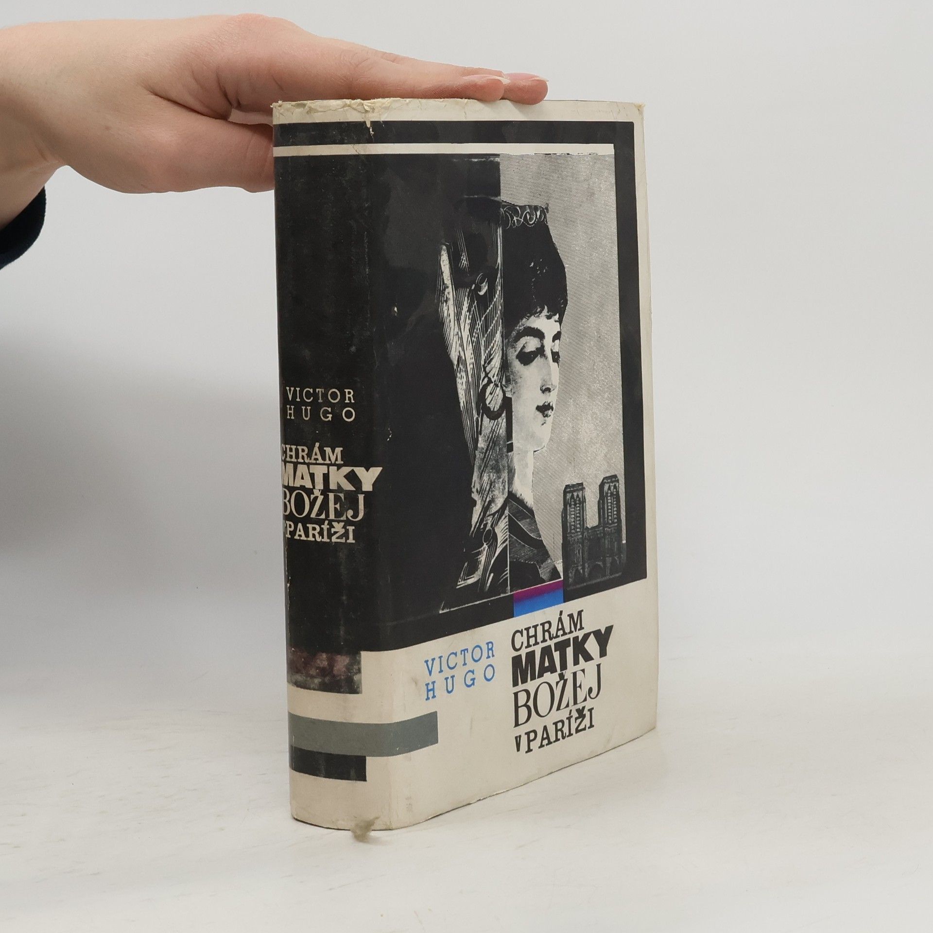 Victor Hugo Chrám Matky Božej v Paríži