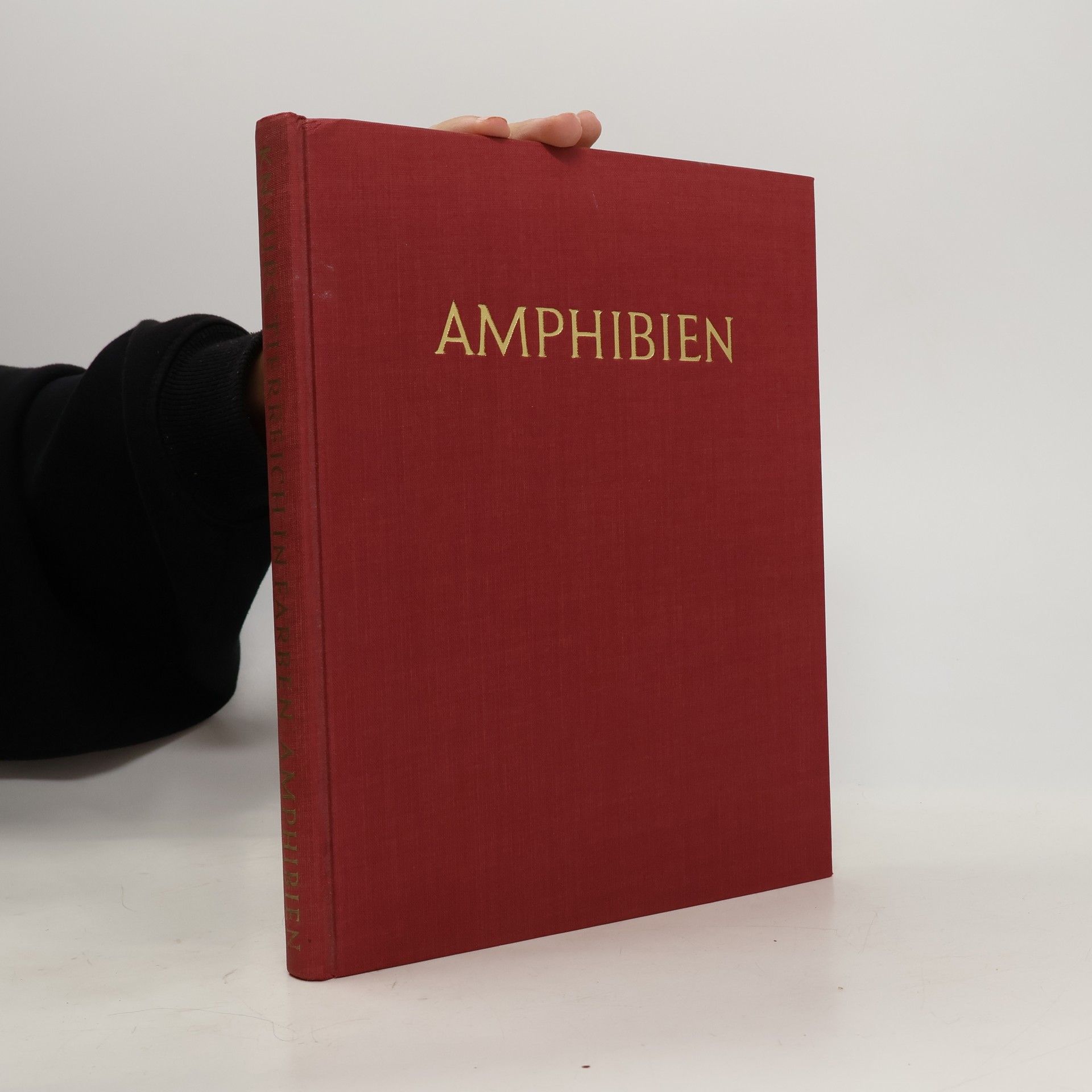 Autorenkollektiv Amphibien