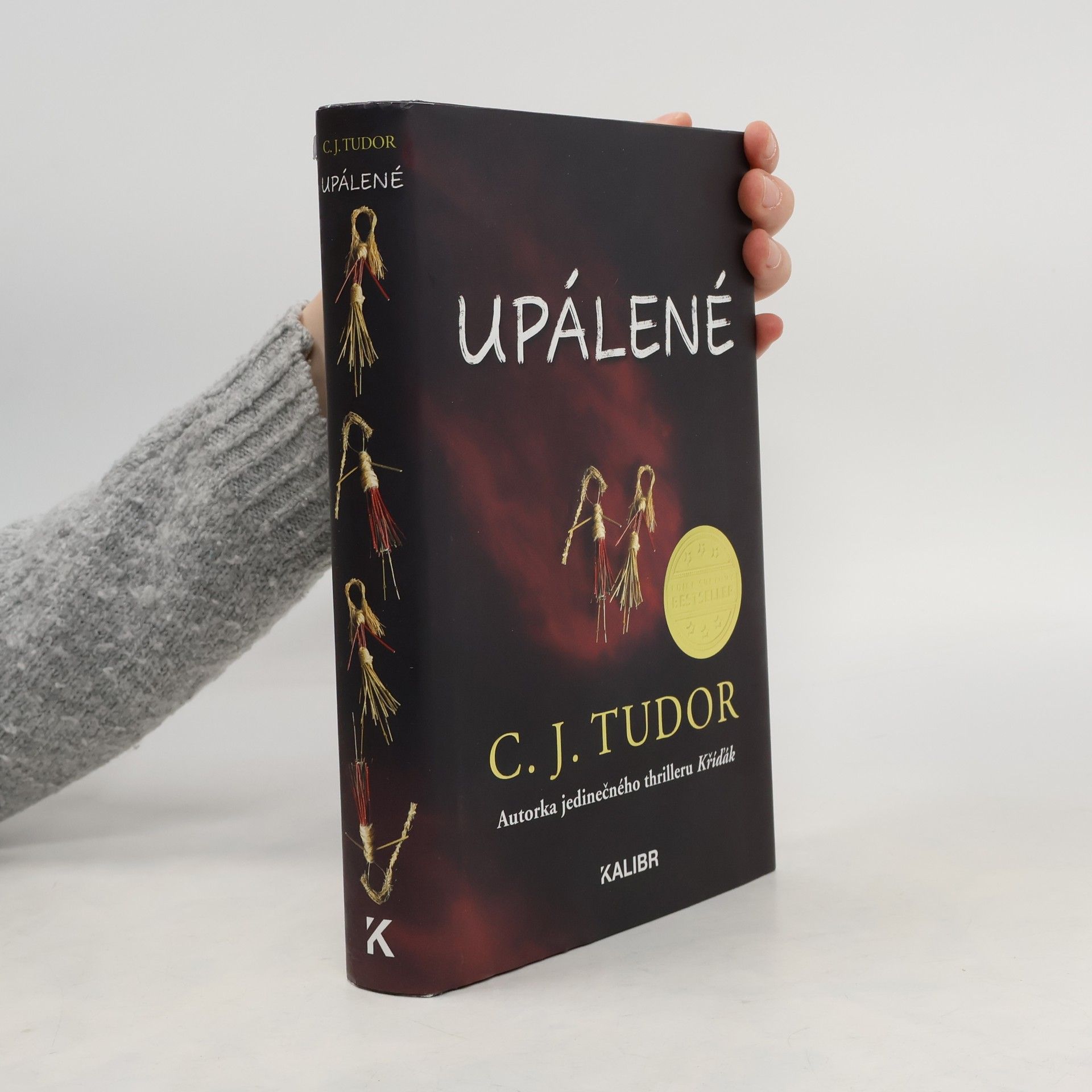 C. J. Tudor Upálené