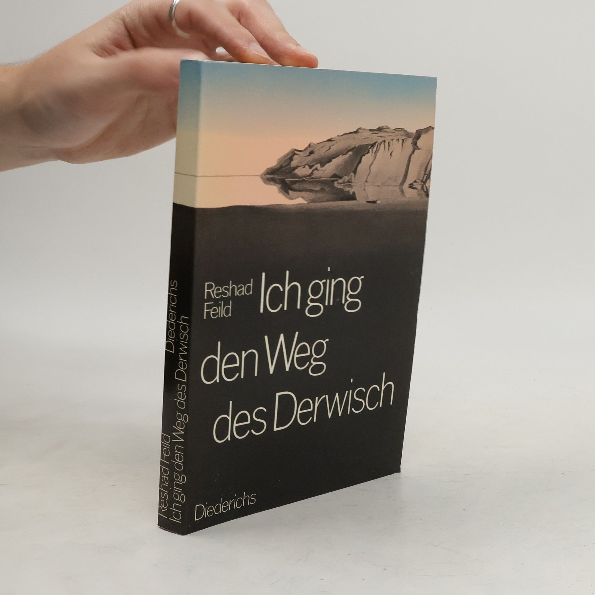 Reshad Feild Ich ging den Weg des Derwisch