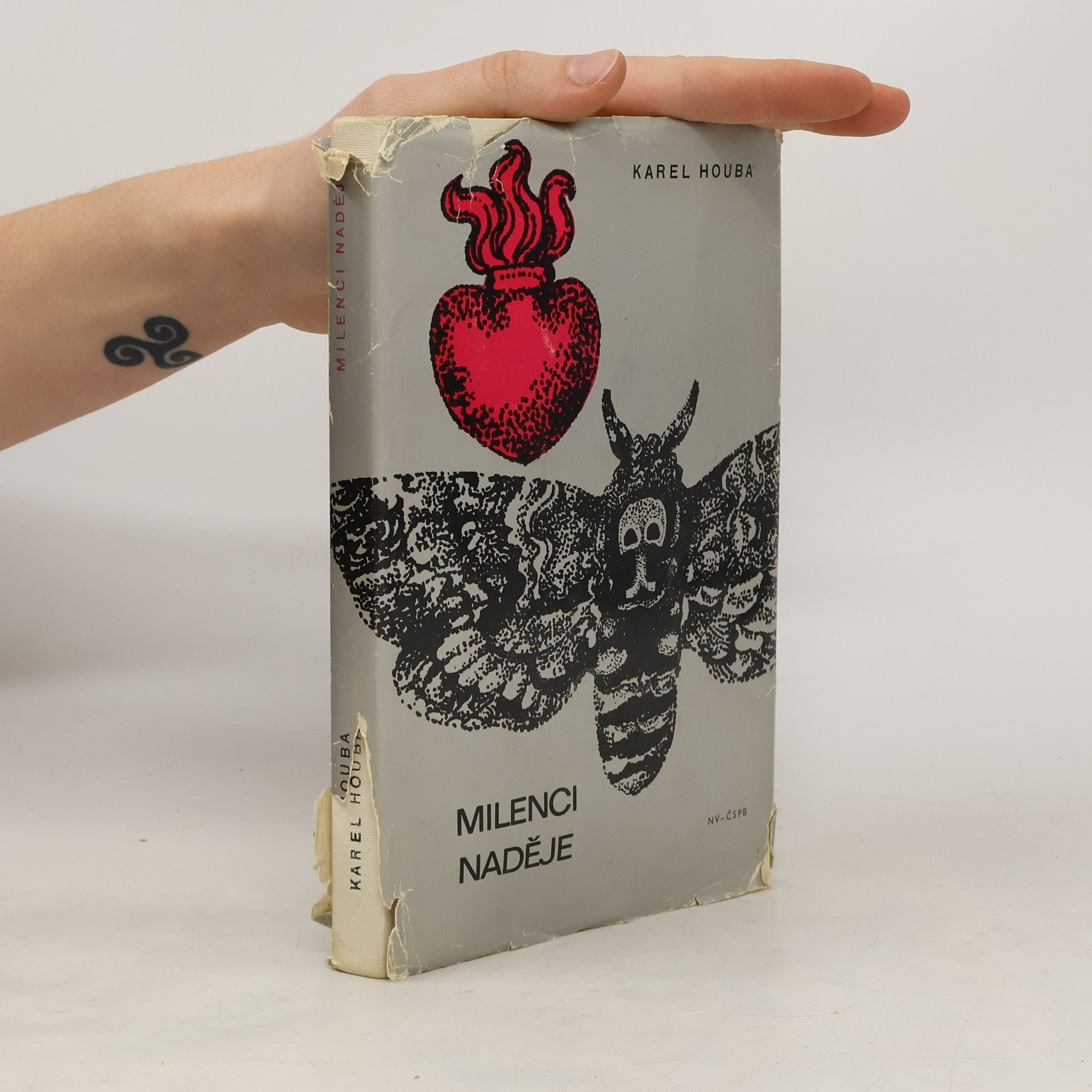 Karel Holub Milenci naděje