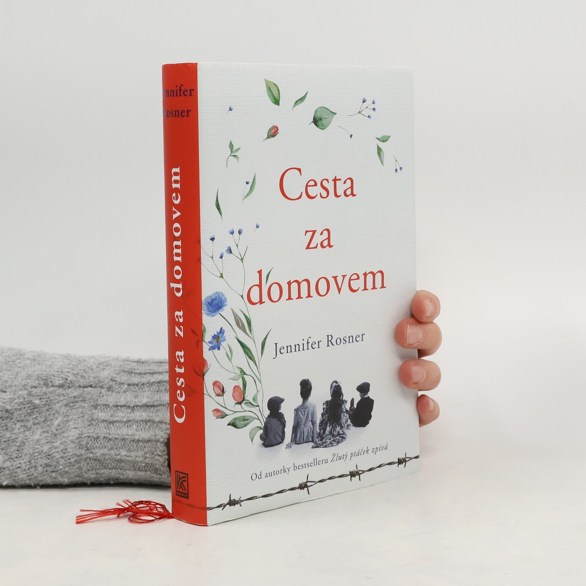 Cesta za domovem