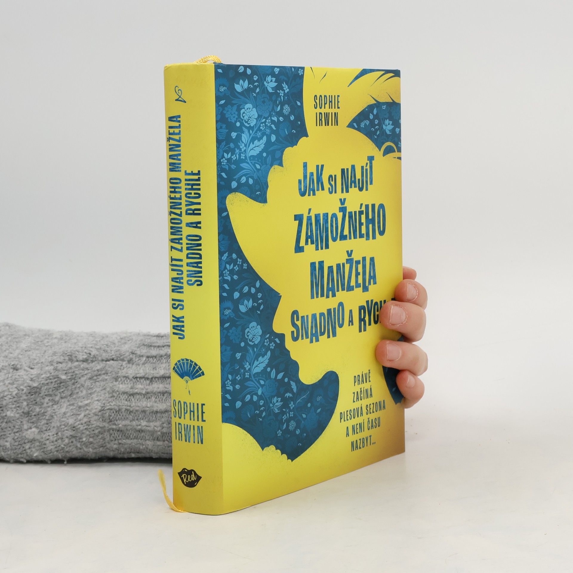 Sophie Irwin Jak si najít zámožného manžela snadno a rychle