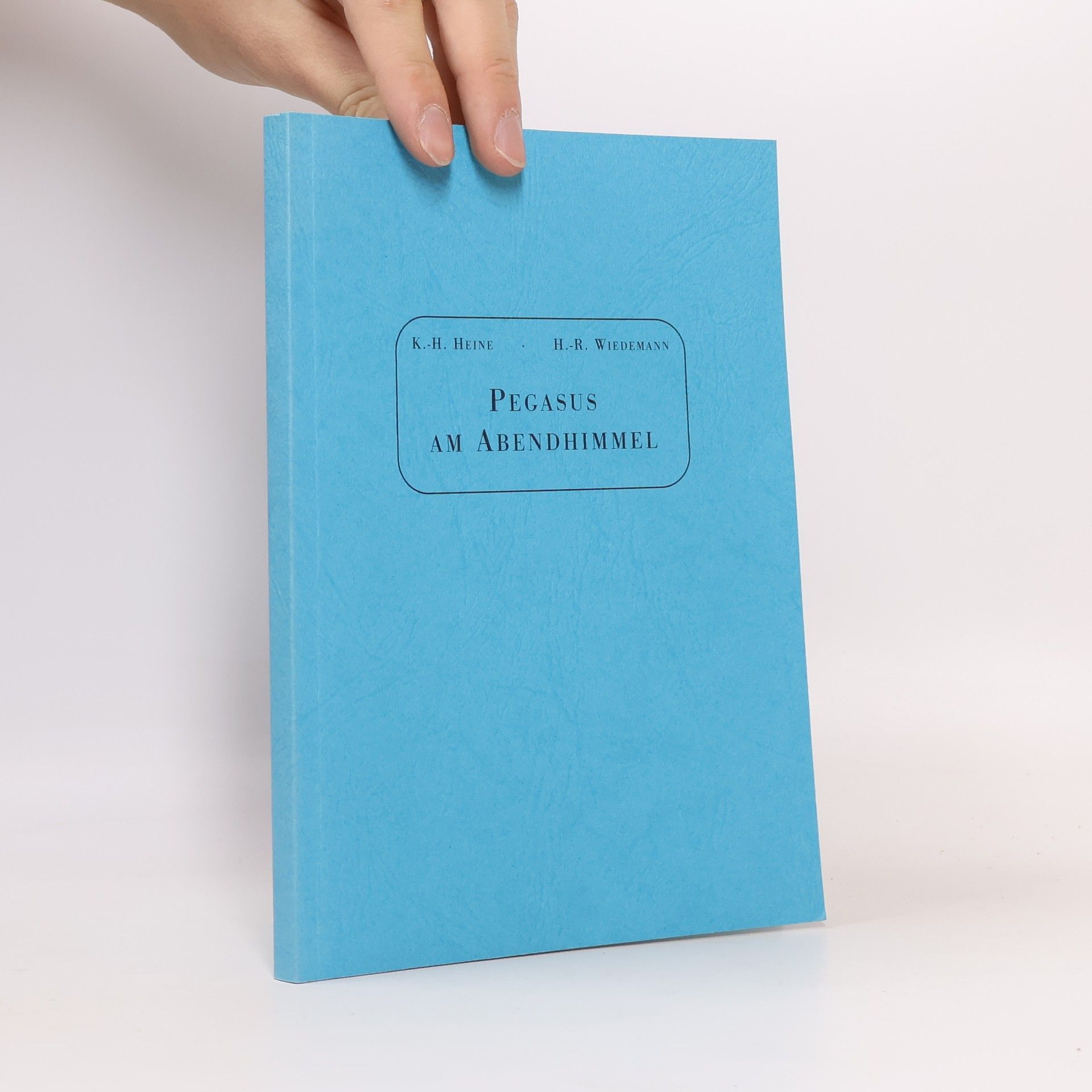 K.-H. Heine Pegasus am Abendhimmel